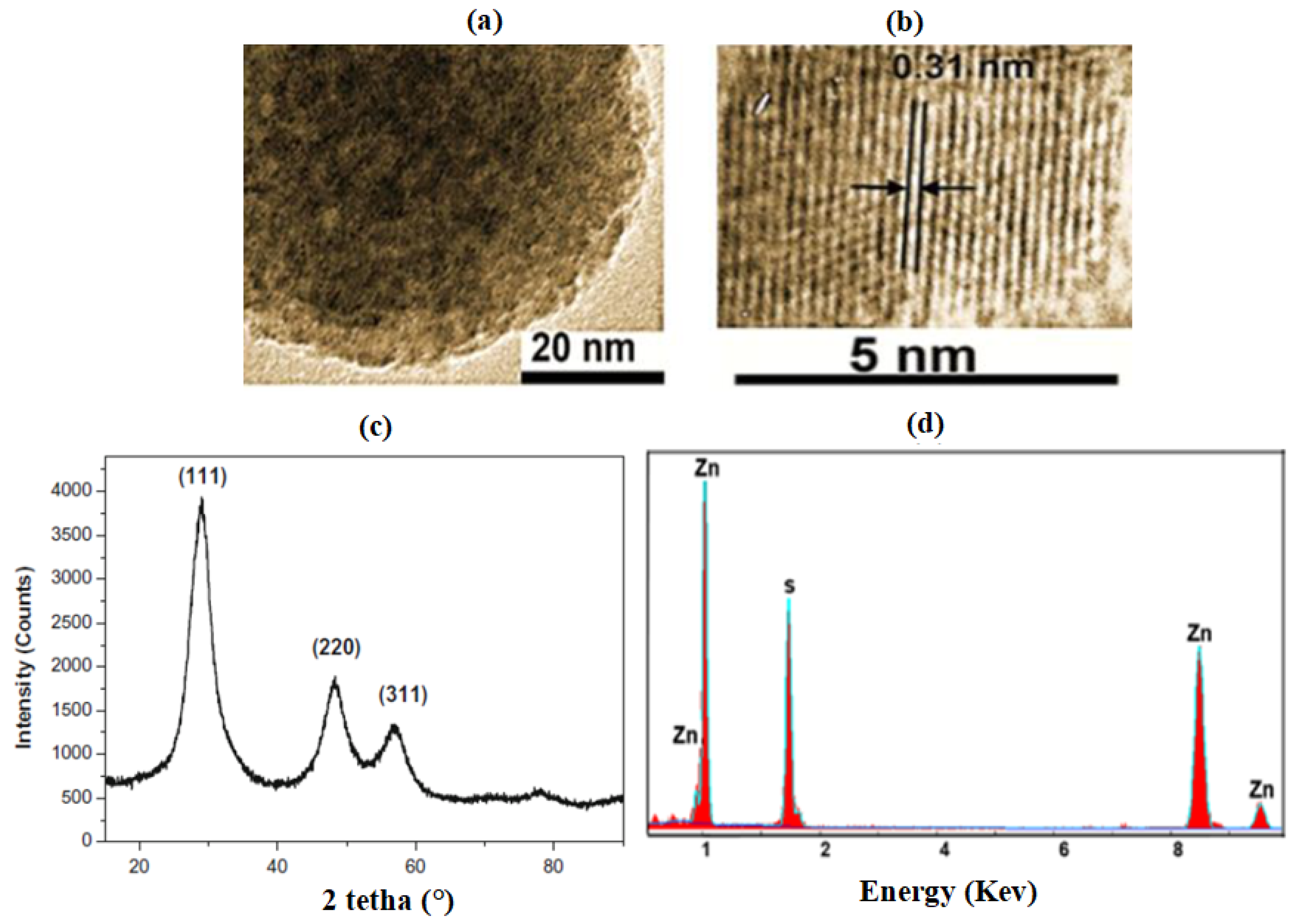 Molecules 28 02460 g001