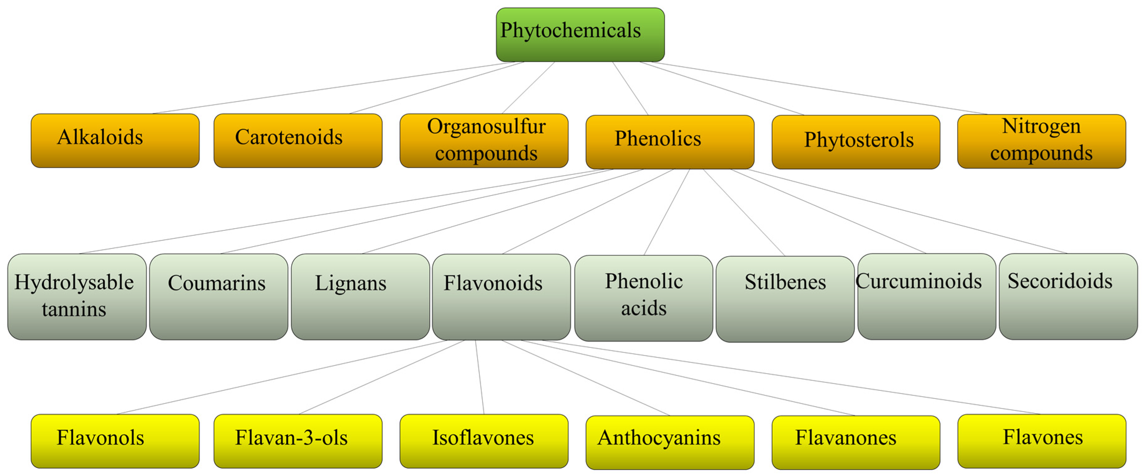 Molecules 28 02470 g001