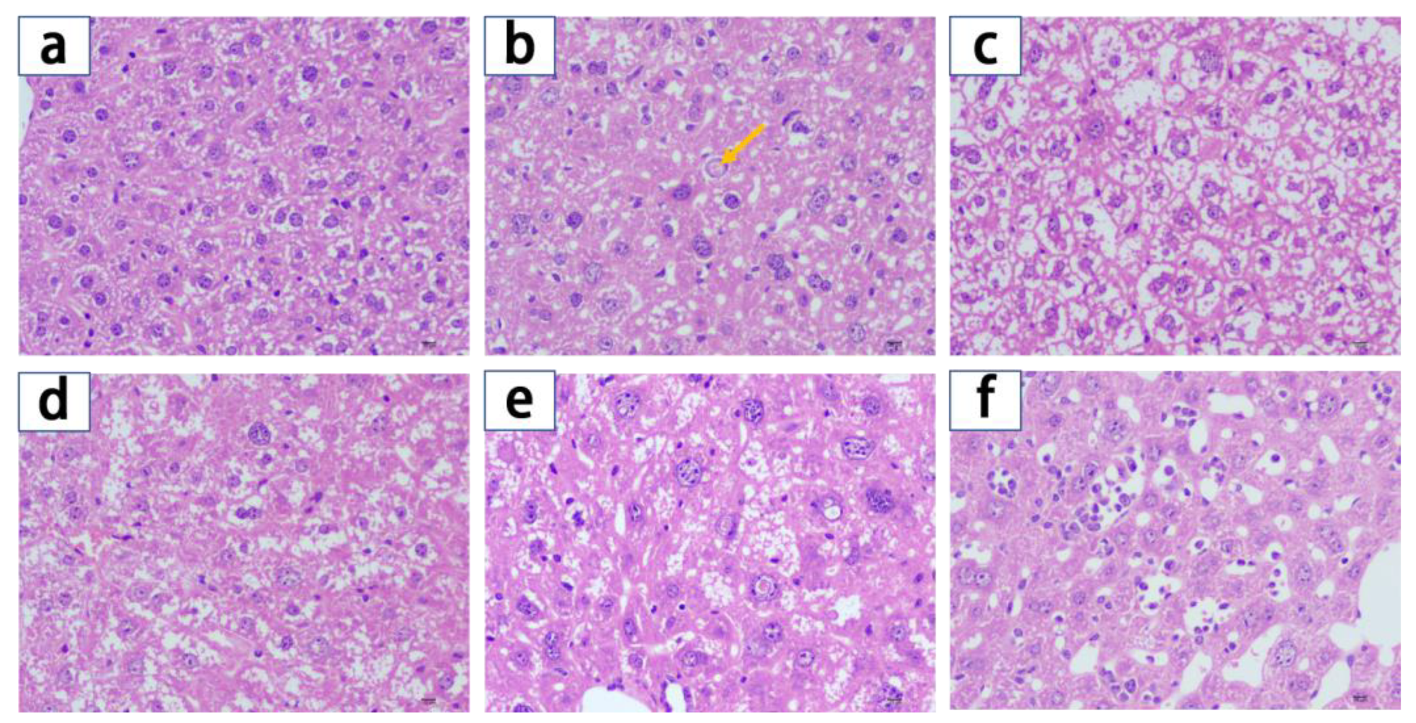 Molecules 28 02471 g004