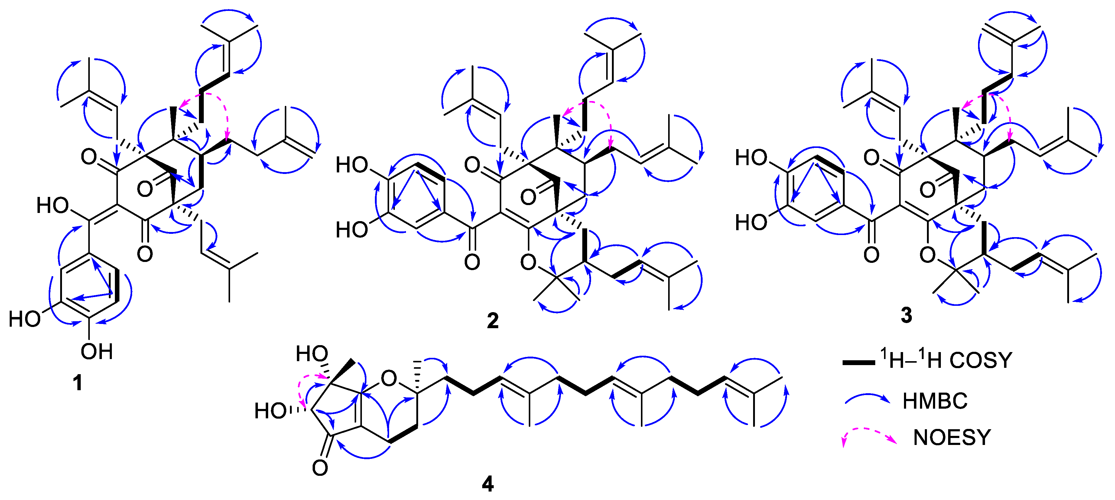 Molecules 28 02473 g002 Molecules 28 02473 g002