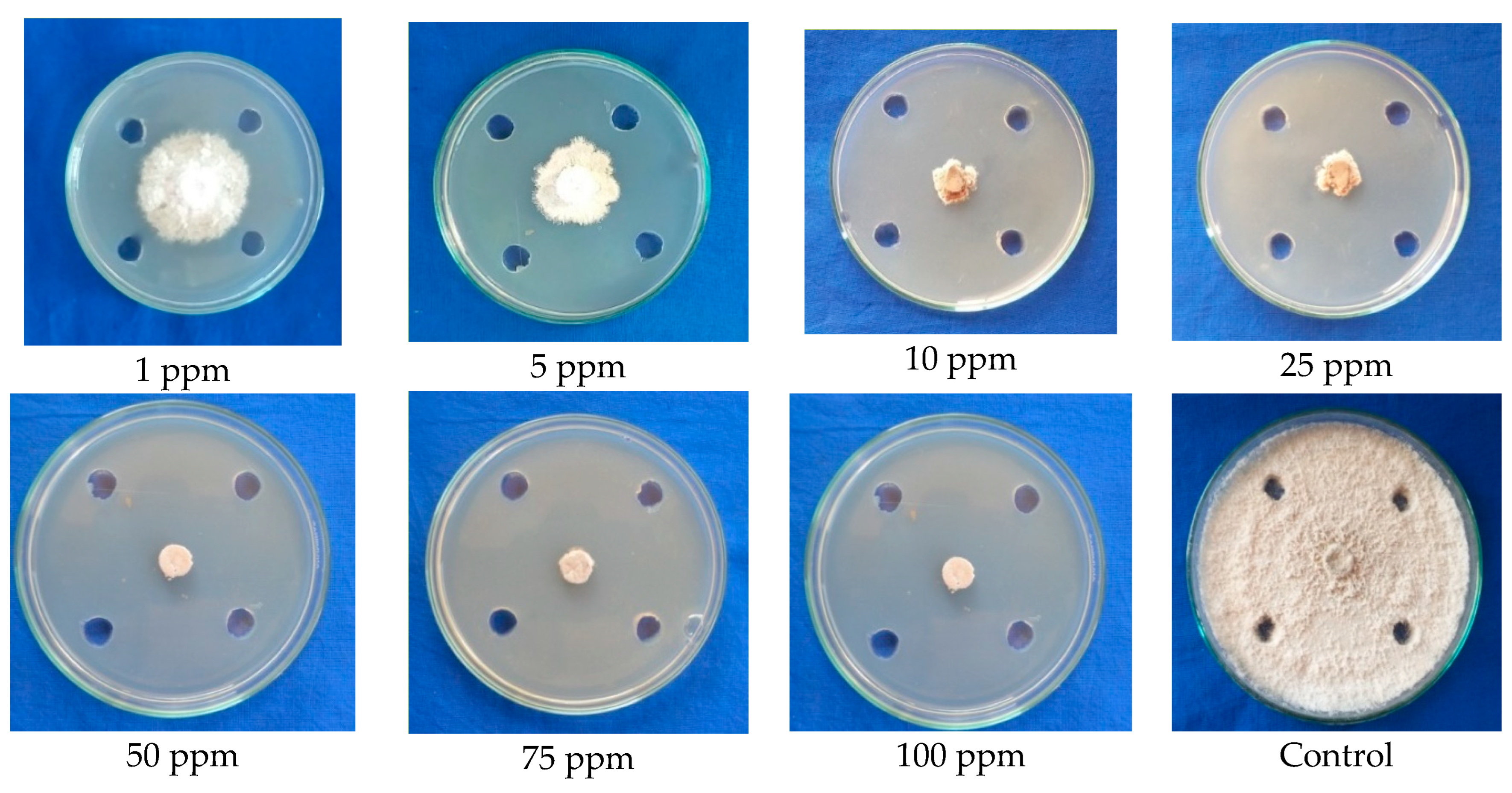 Molecules 28 02476 g005