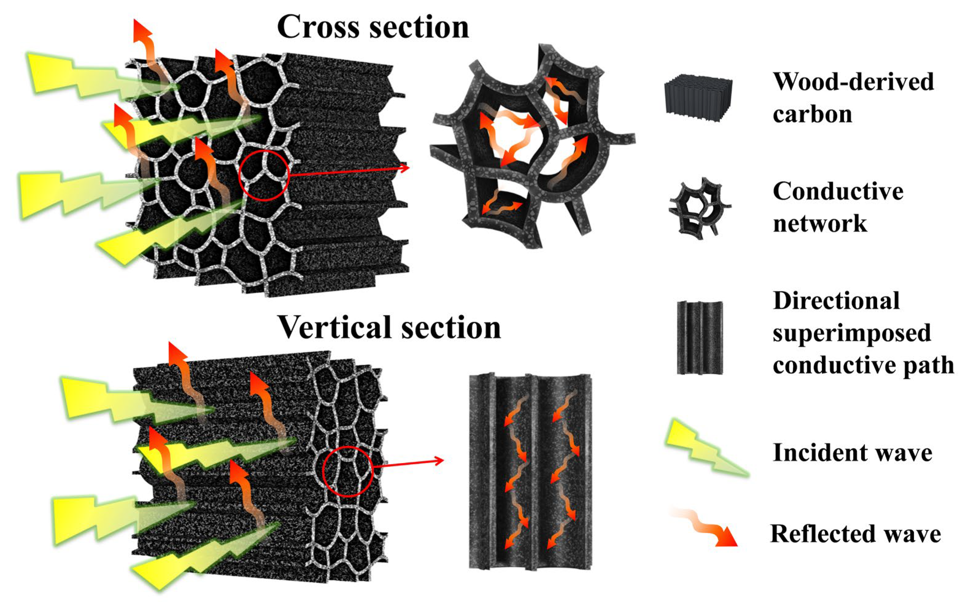 Molecules 28 02482 g007