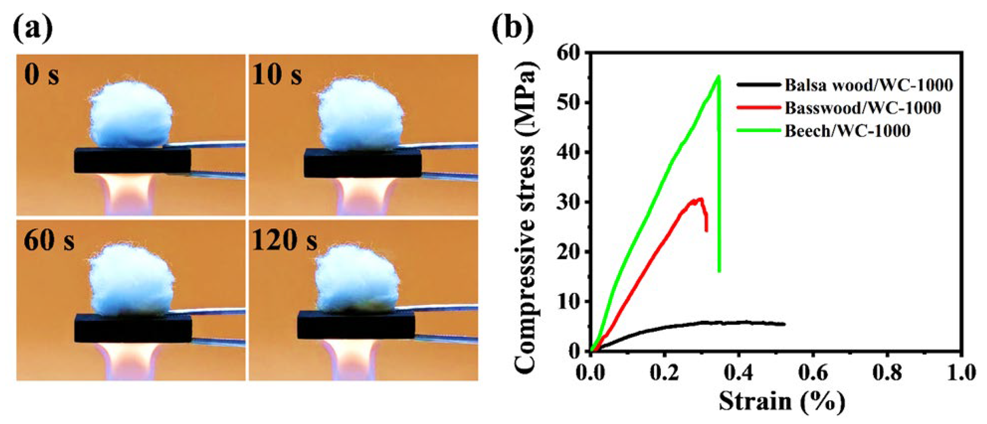 Molecules 28 02482 g008