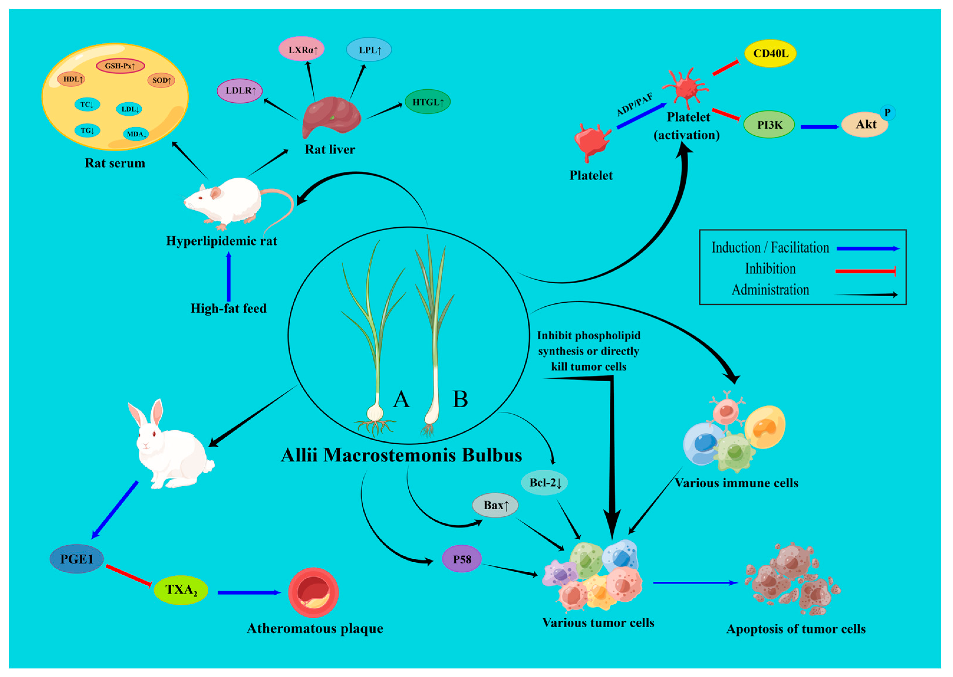 Molecules 28 02485 g007