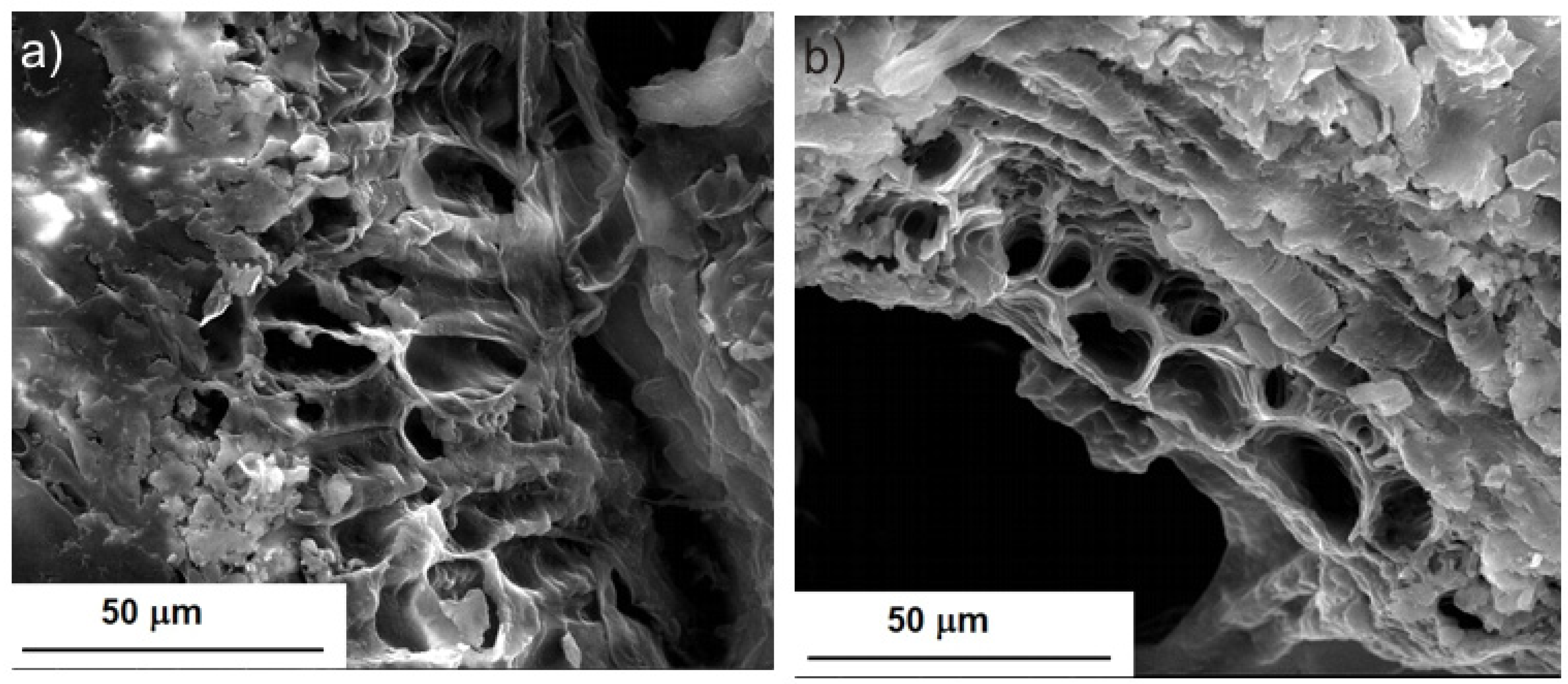 Molecules 28 02486 g001