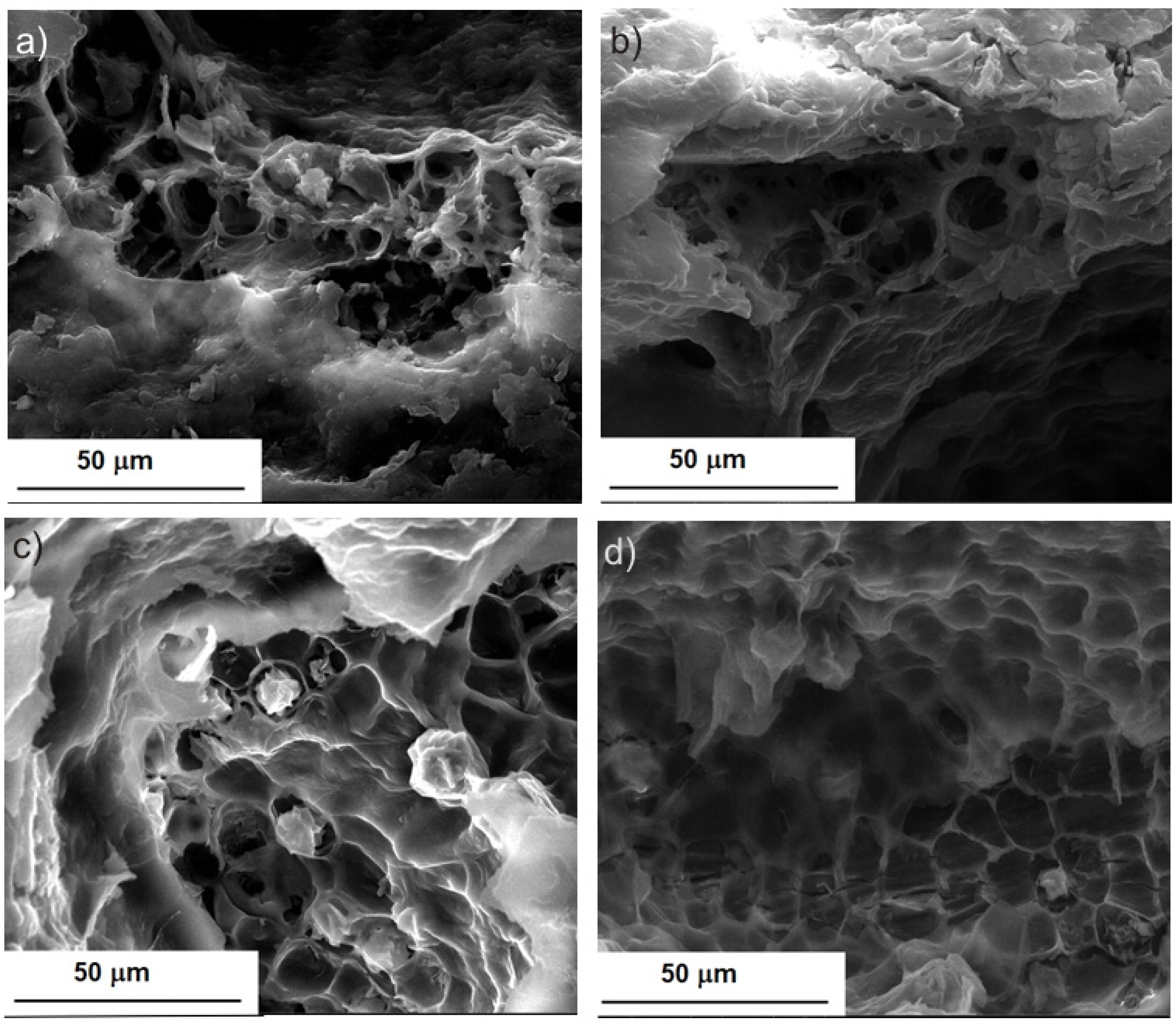 Molecules 28 02486 g002