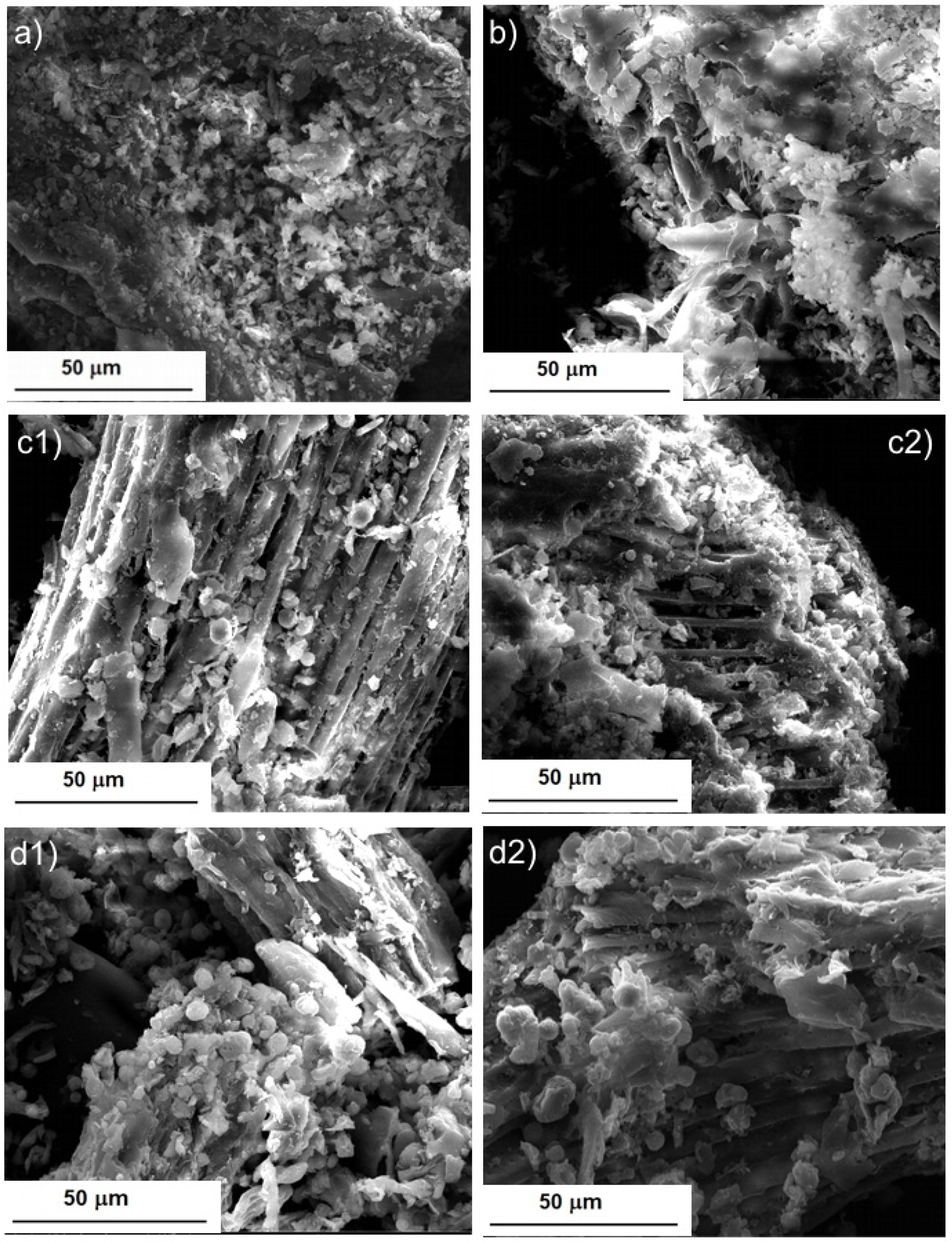Molecules 28 02486 g005