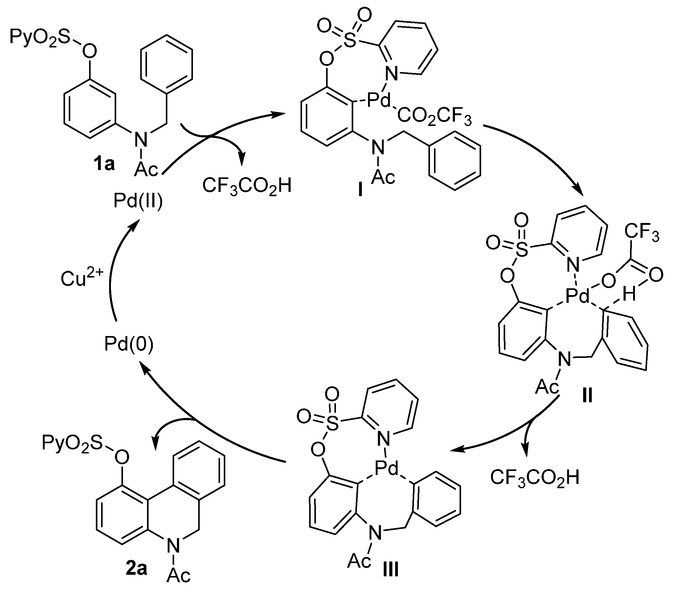 Molecules 28 02498 sch004 Molecules 28 02498 sch004