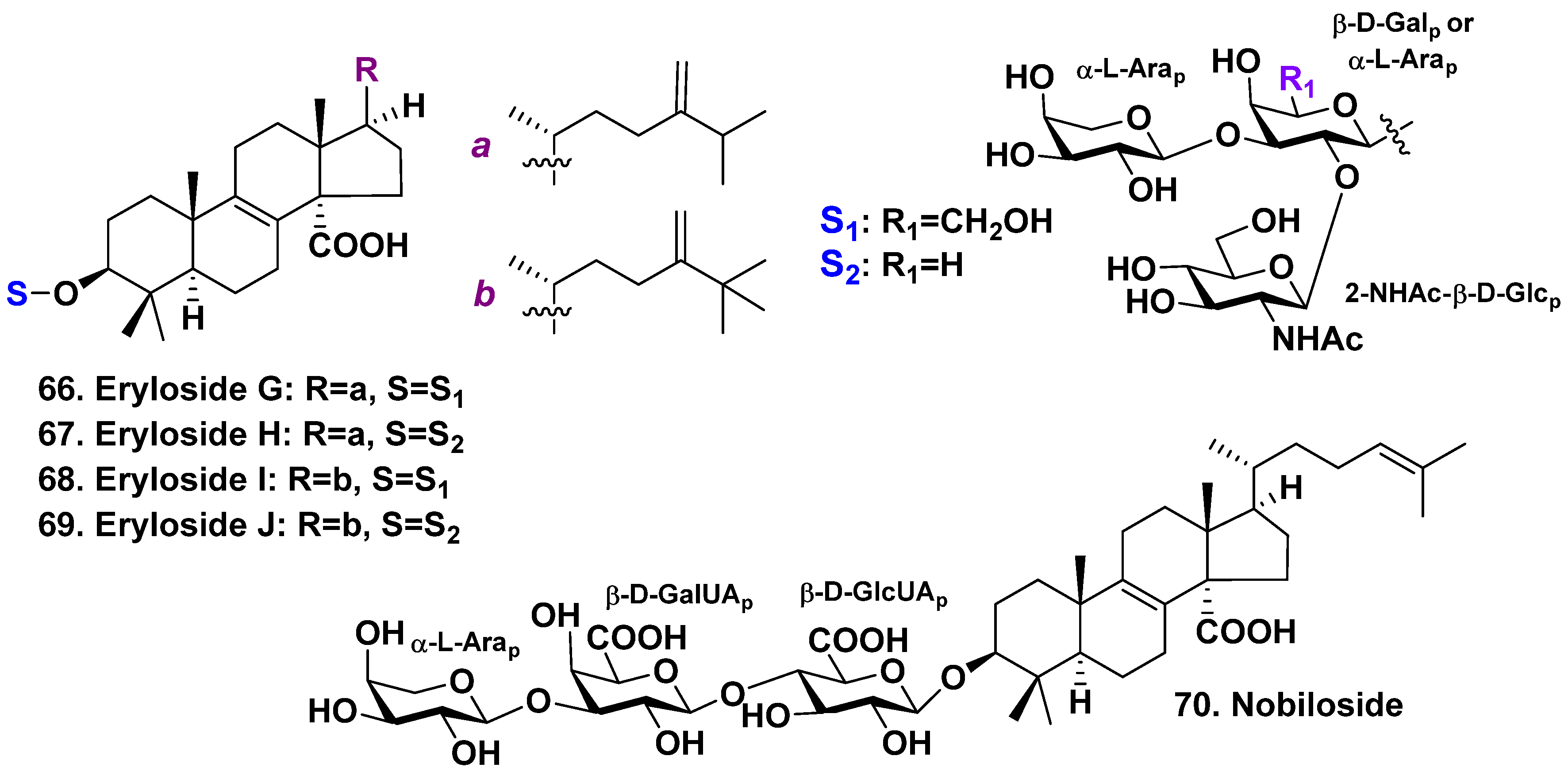 Molecules 28 02503 g005