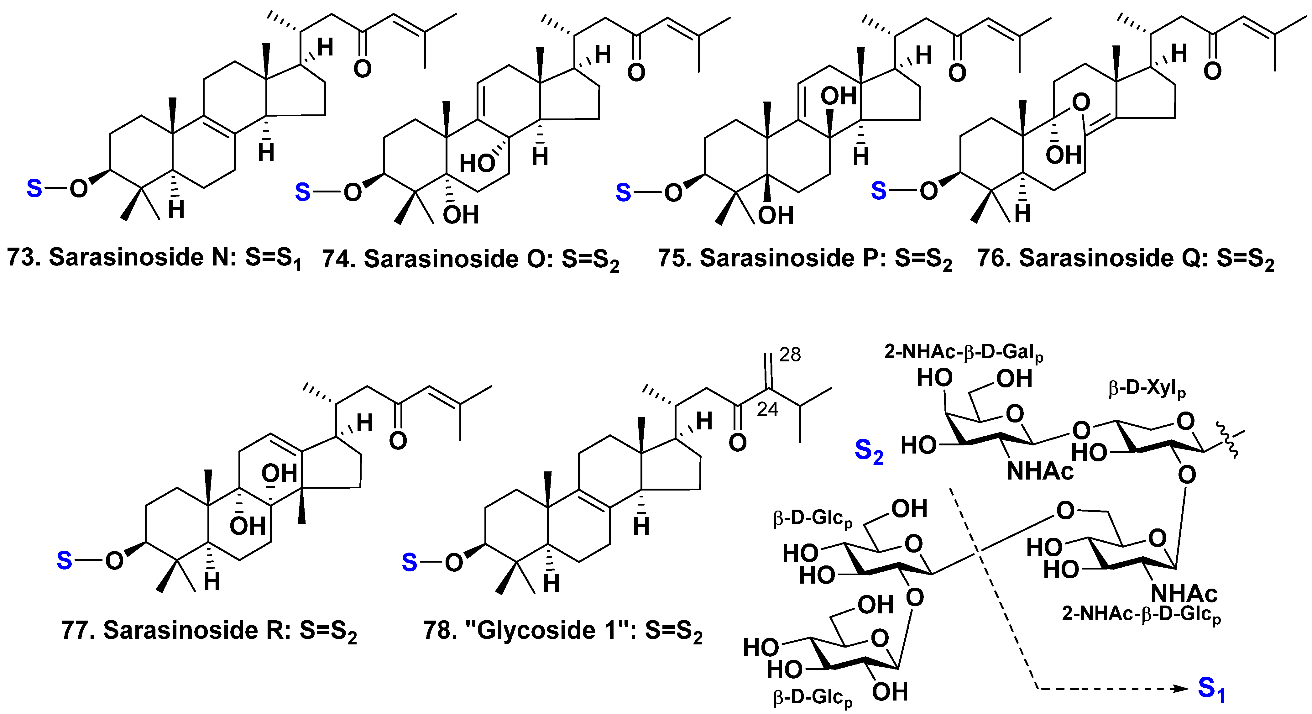 Molecules 28 02503 g007