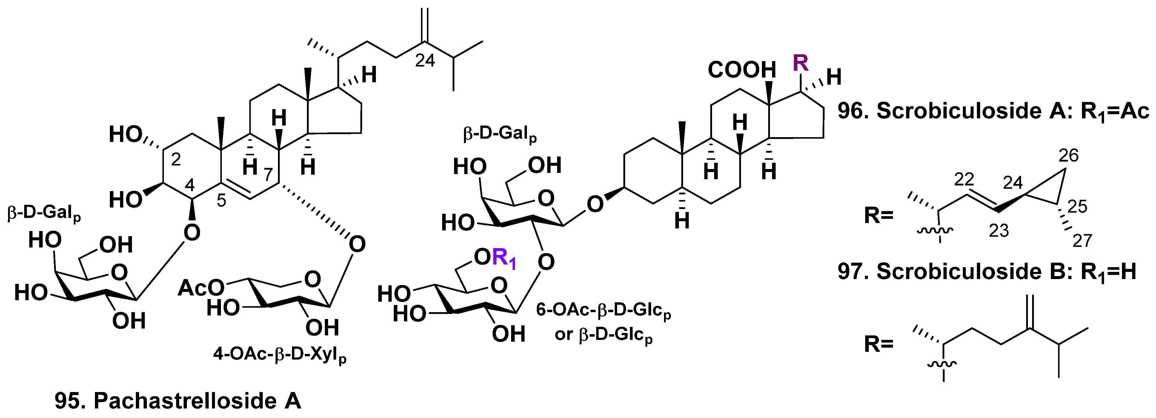 Molecules 28 02503 g012