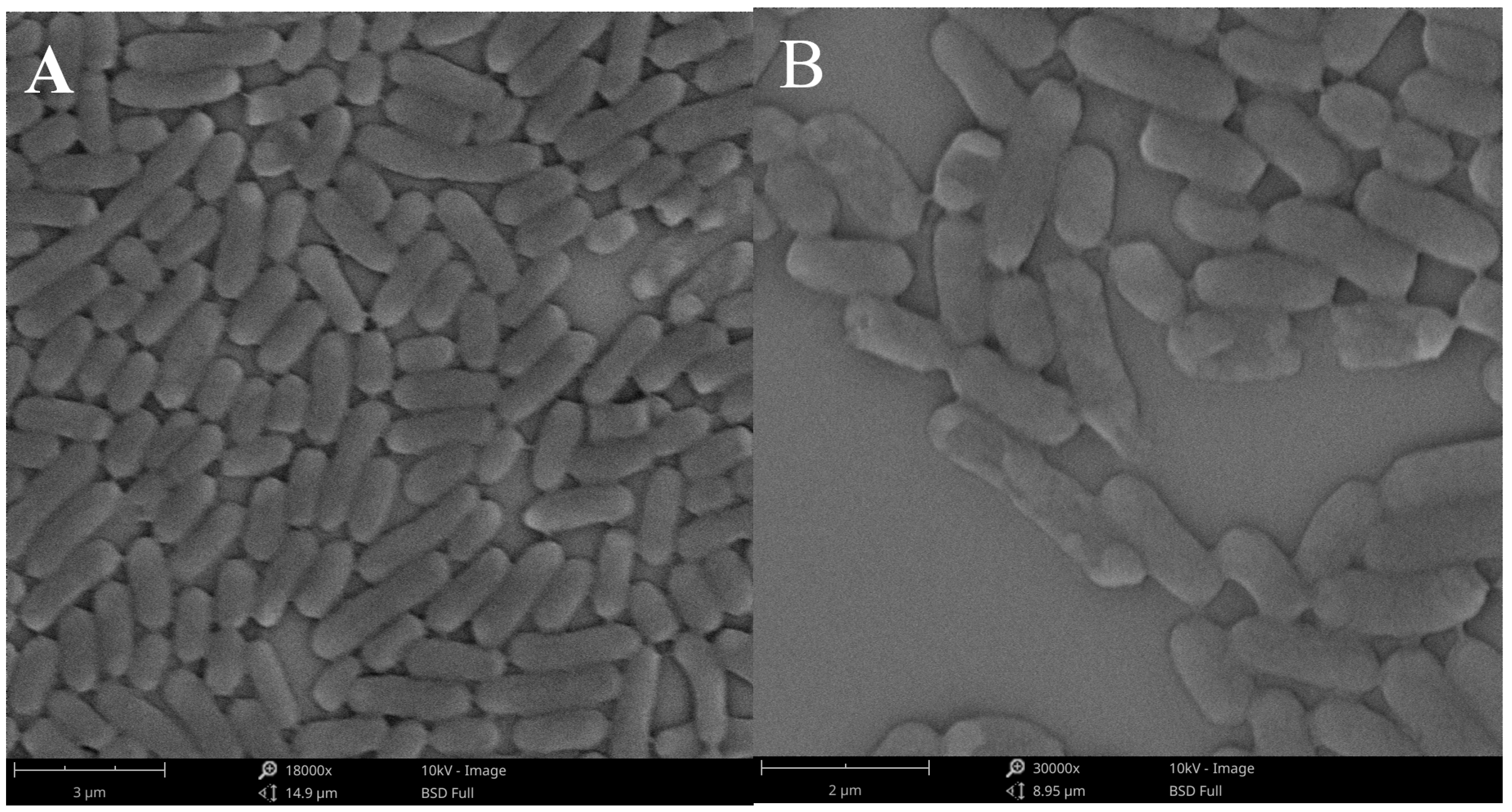 Molecules 28 02511 g008a
