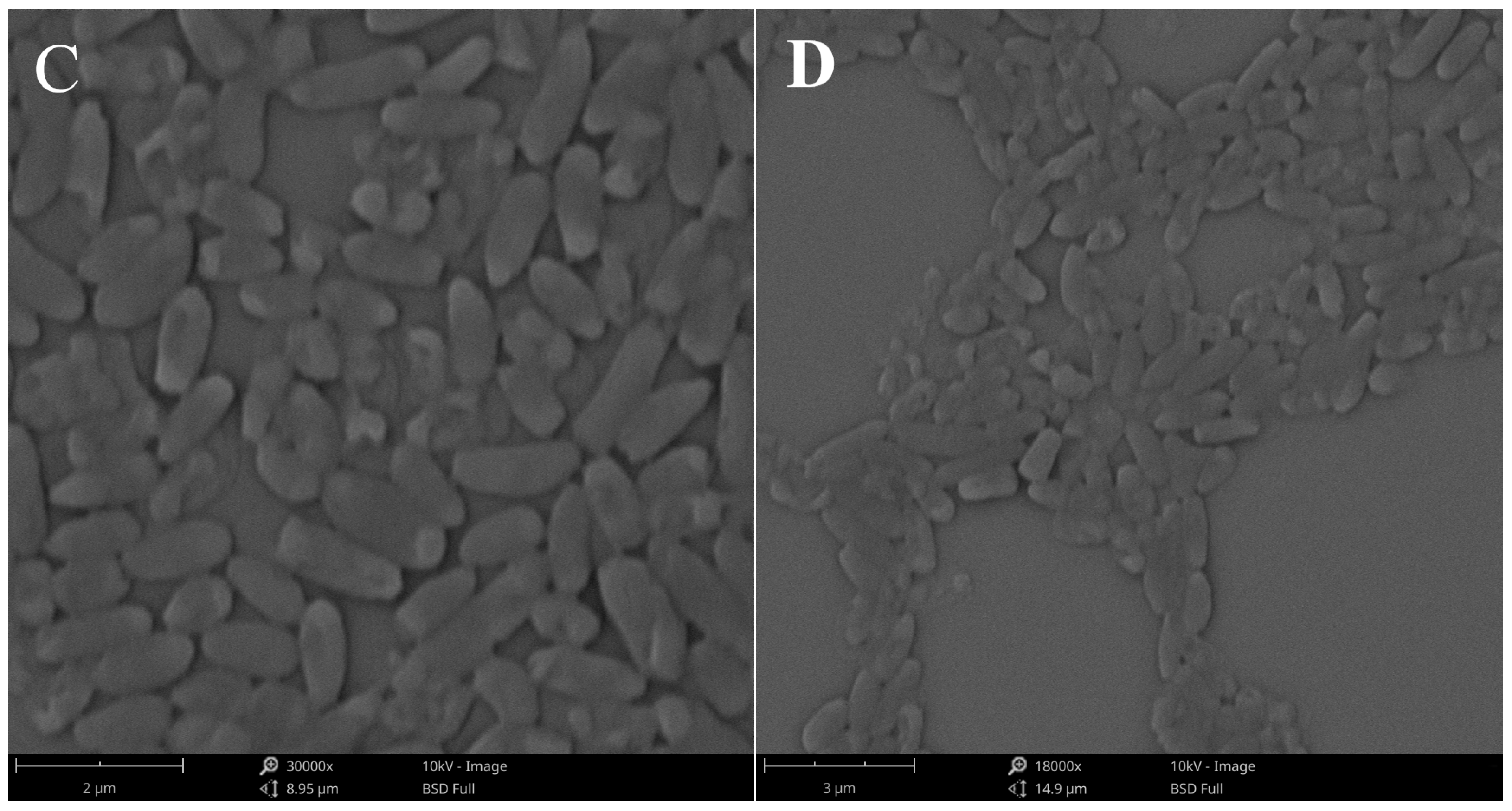 Molecules 28 02511 g008b