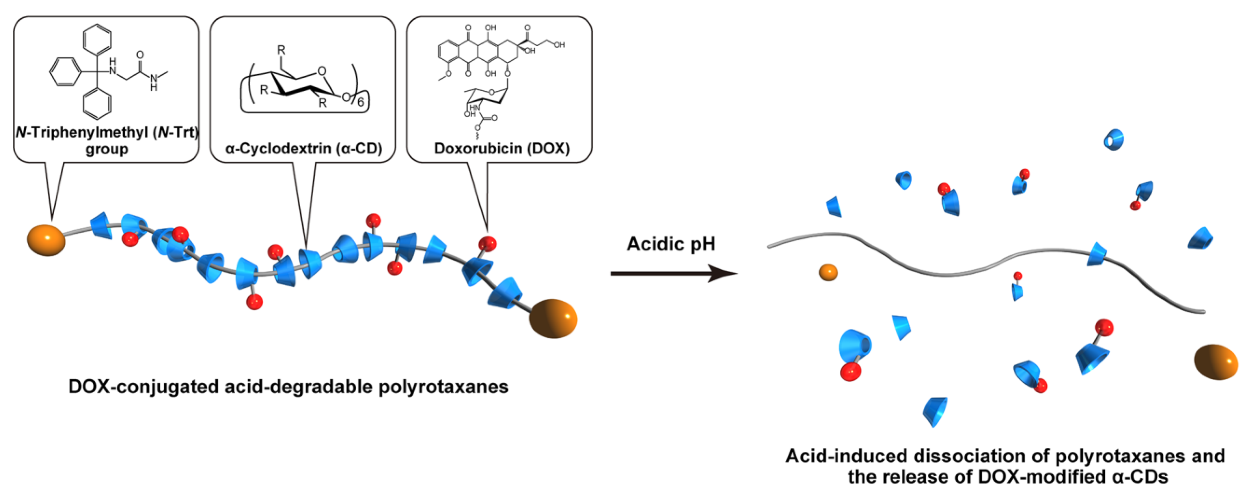 Molecules 28 02517 g001