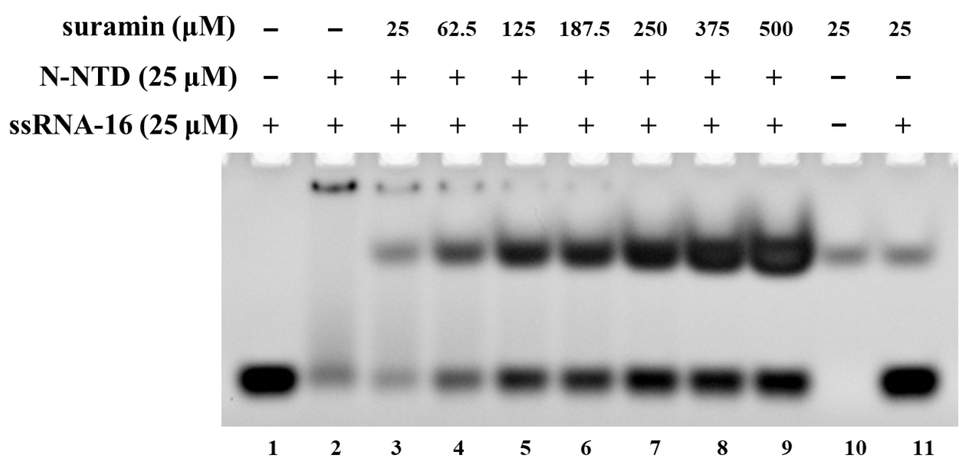 Molecules 28 02534 g002