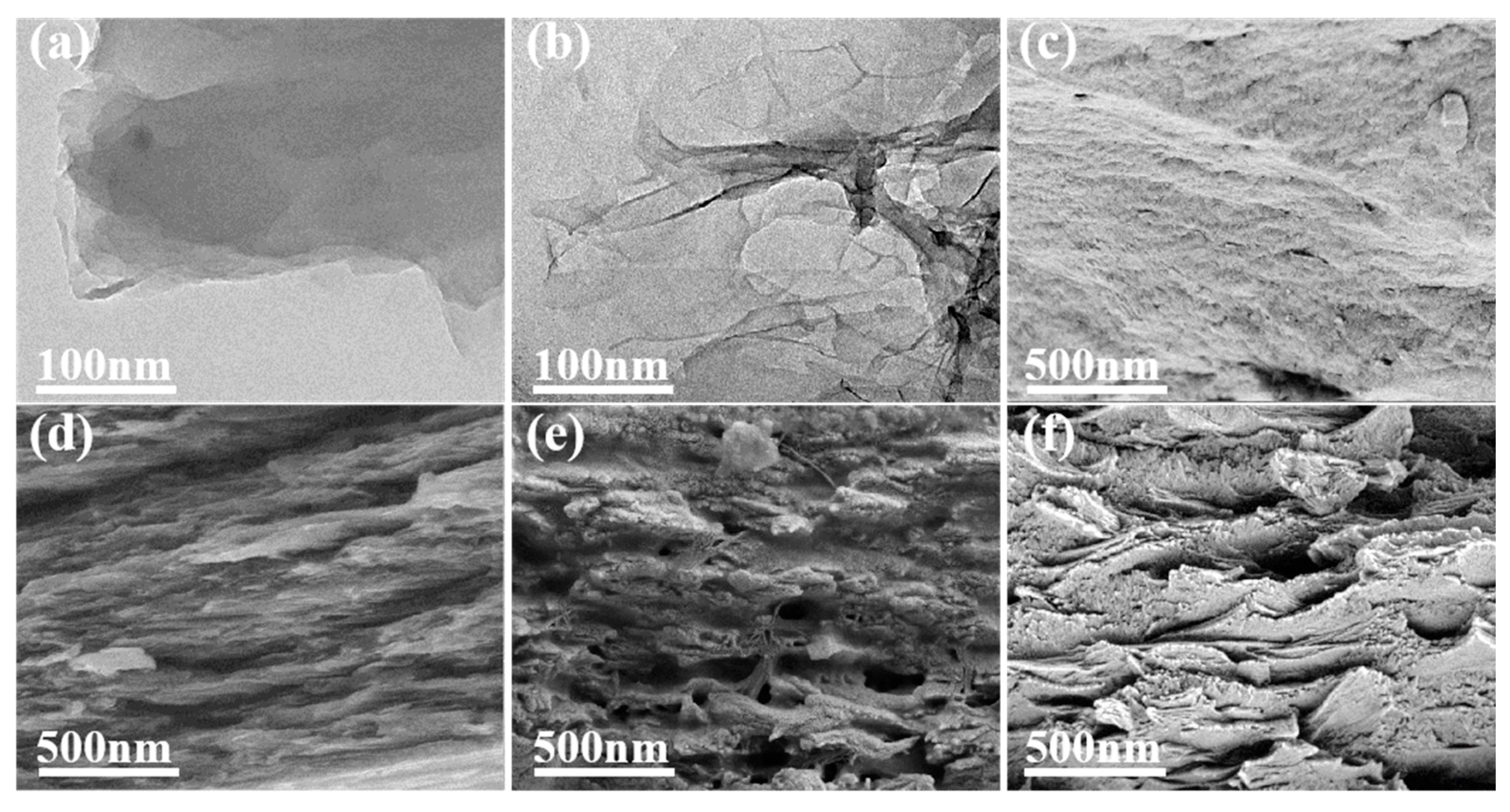 Molecules 28 02535 g003