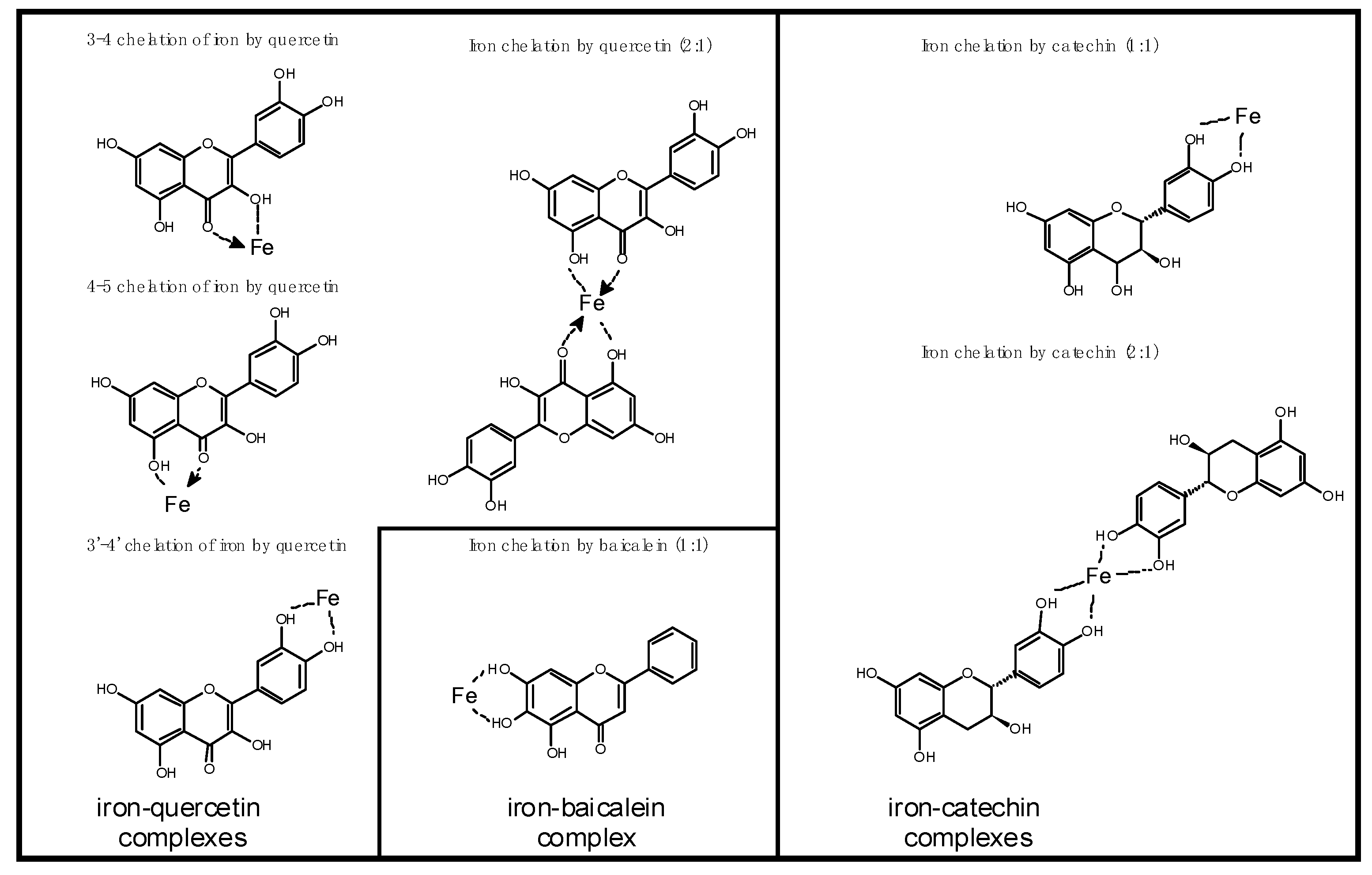 Molecules 28 02536 g001 Molecules 28 02536 g001
