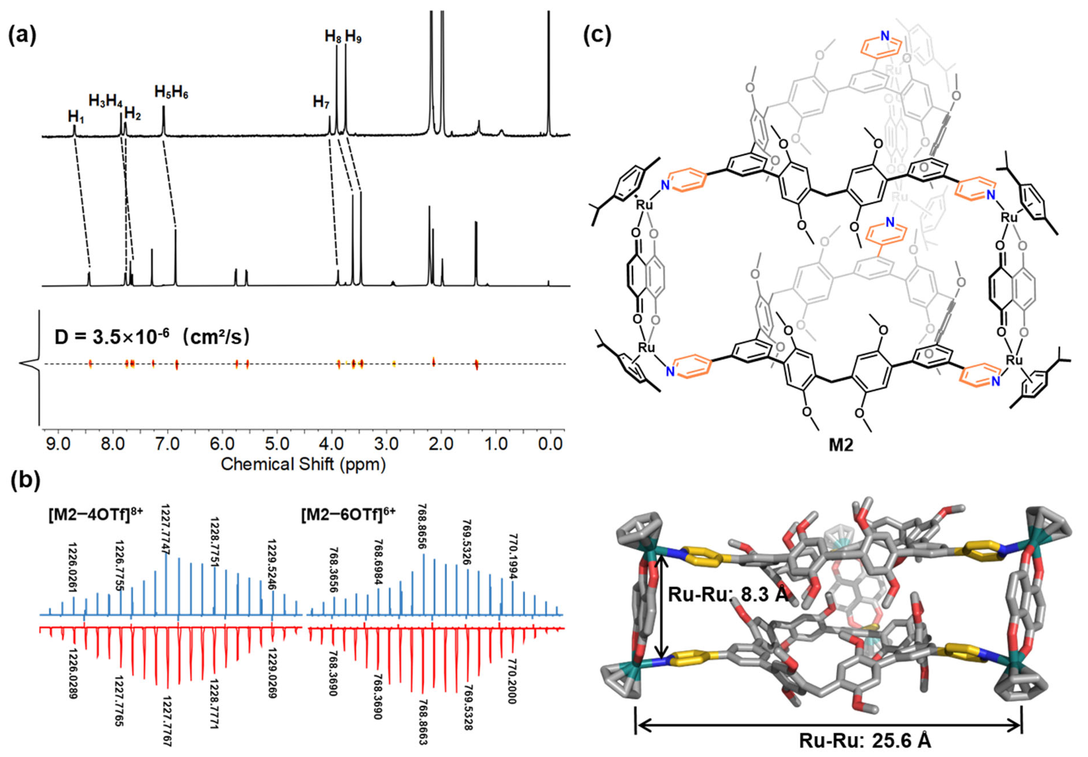 Molecules 28 02537 g002
