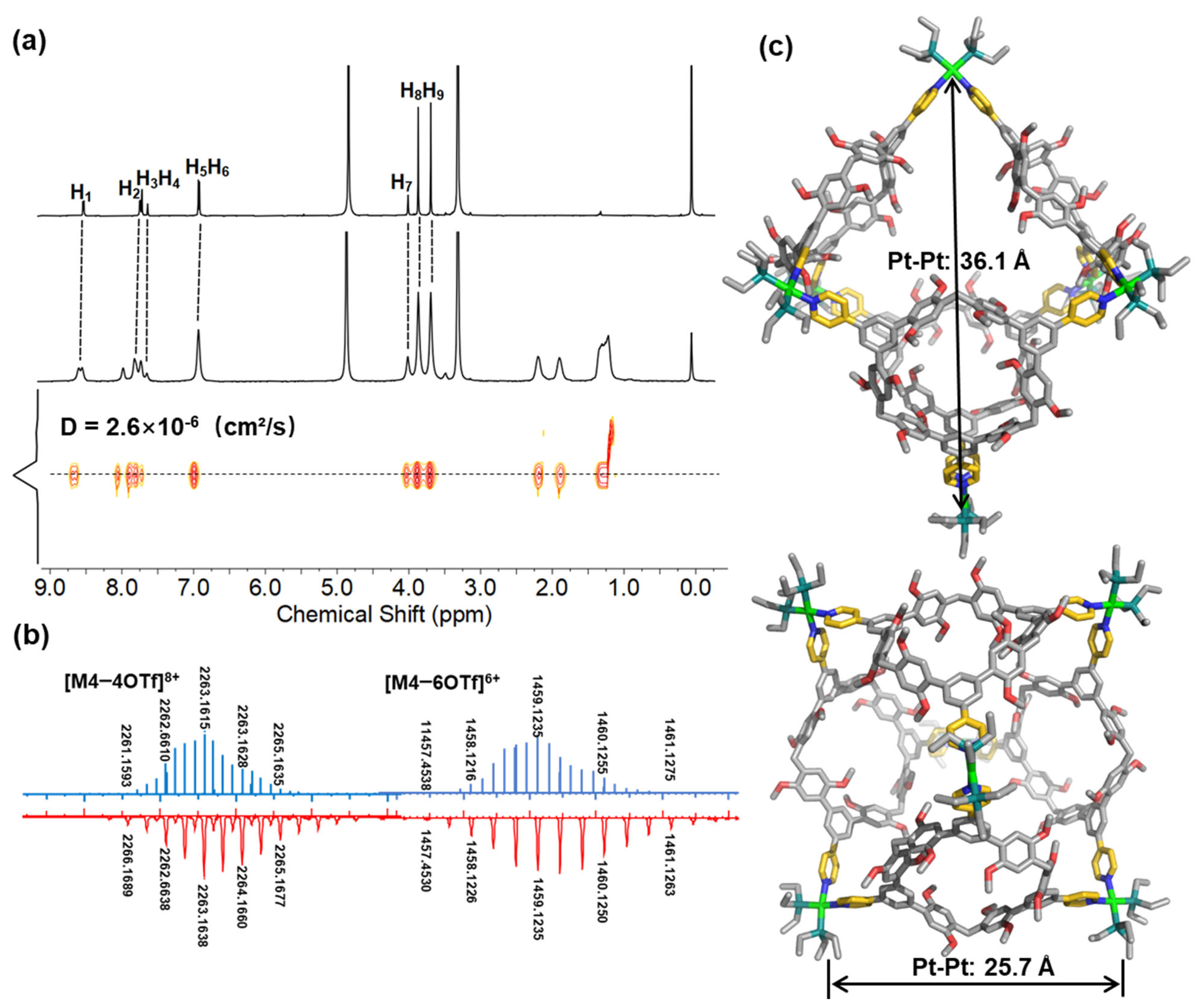 Molecules 28 02537 g003