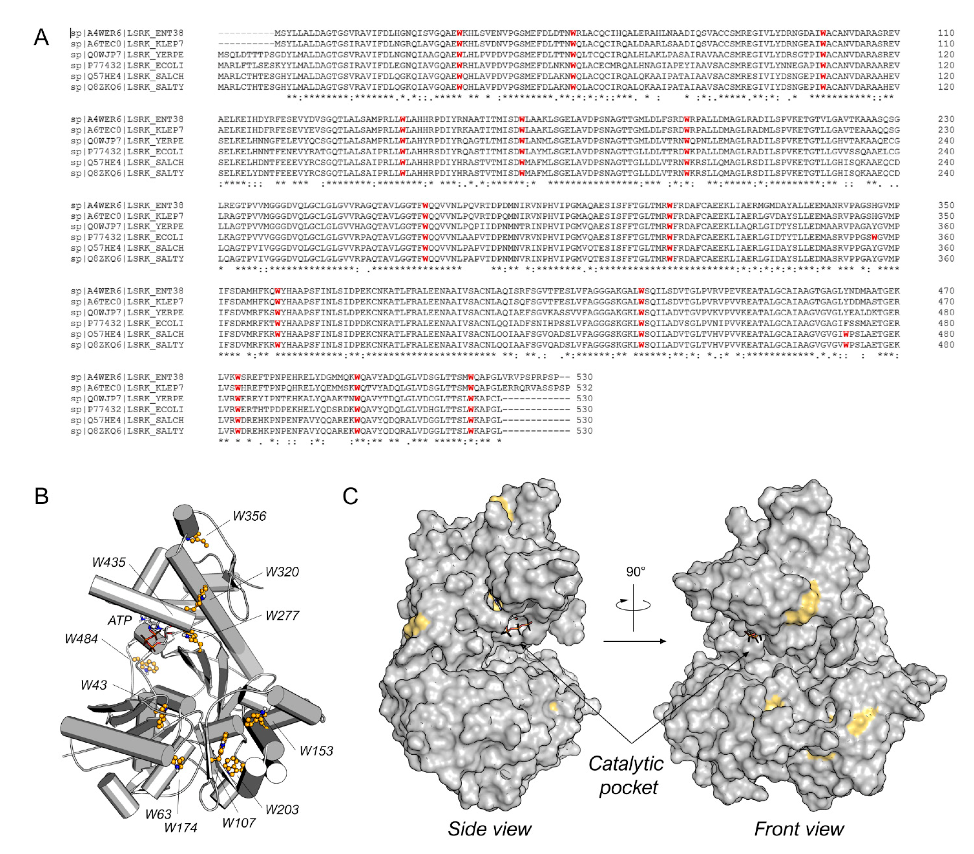 Molecules 28 02542 g002 Molecules 28 02542 g002