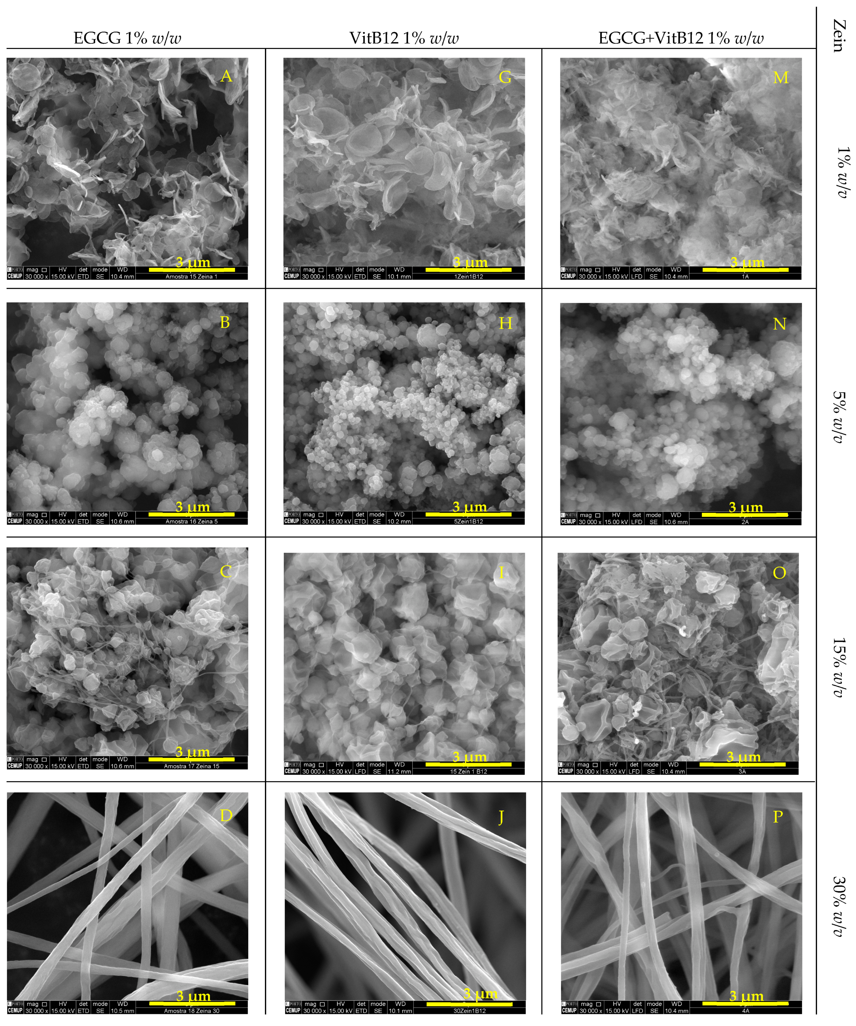 Molecules 28 02544 g001a Molecules 28 02544 g001a