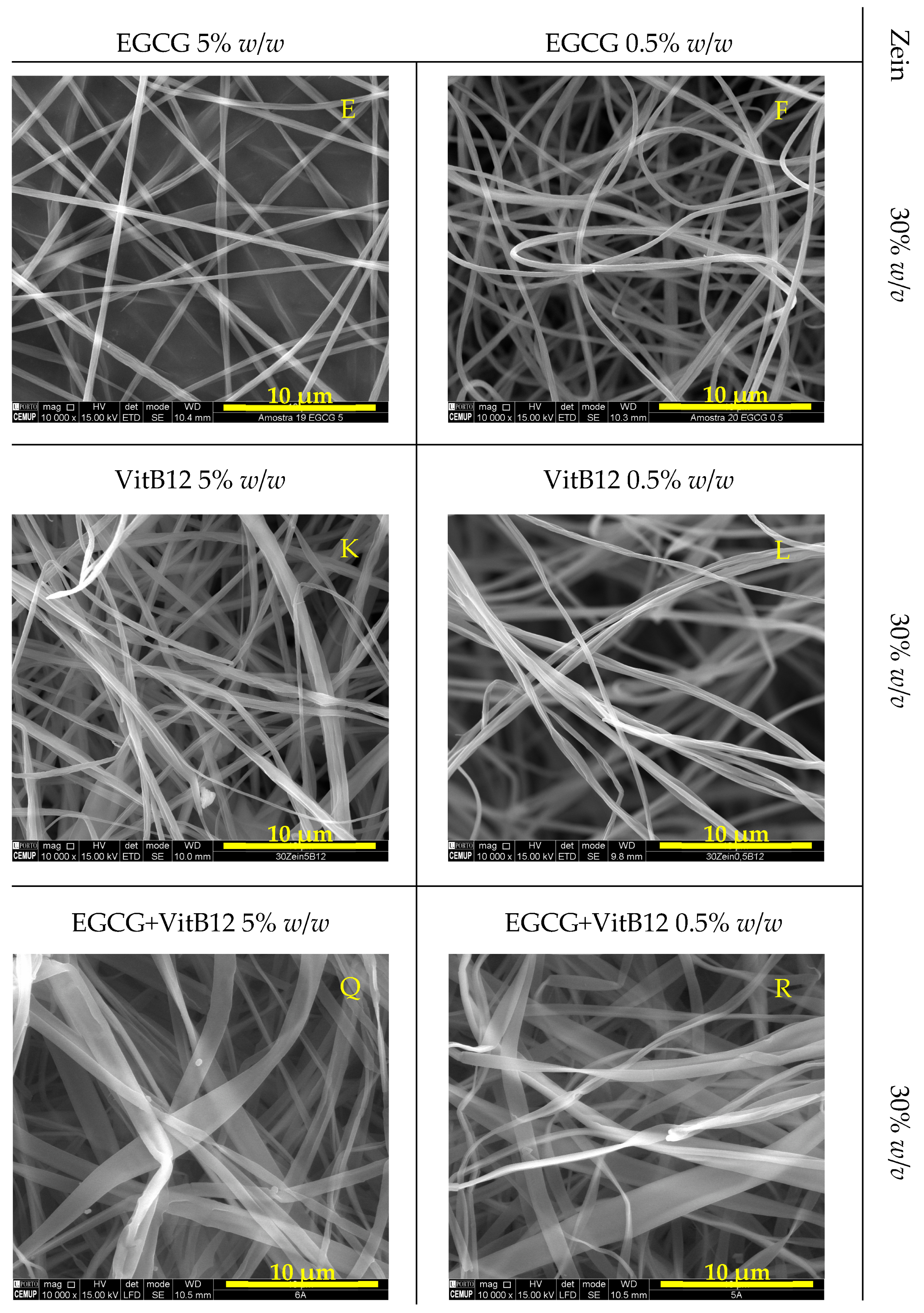 Molecules 28 02544 g001b Molecules 28 02544 g001b