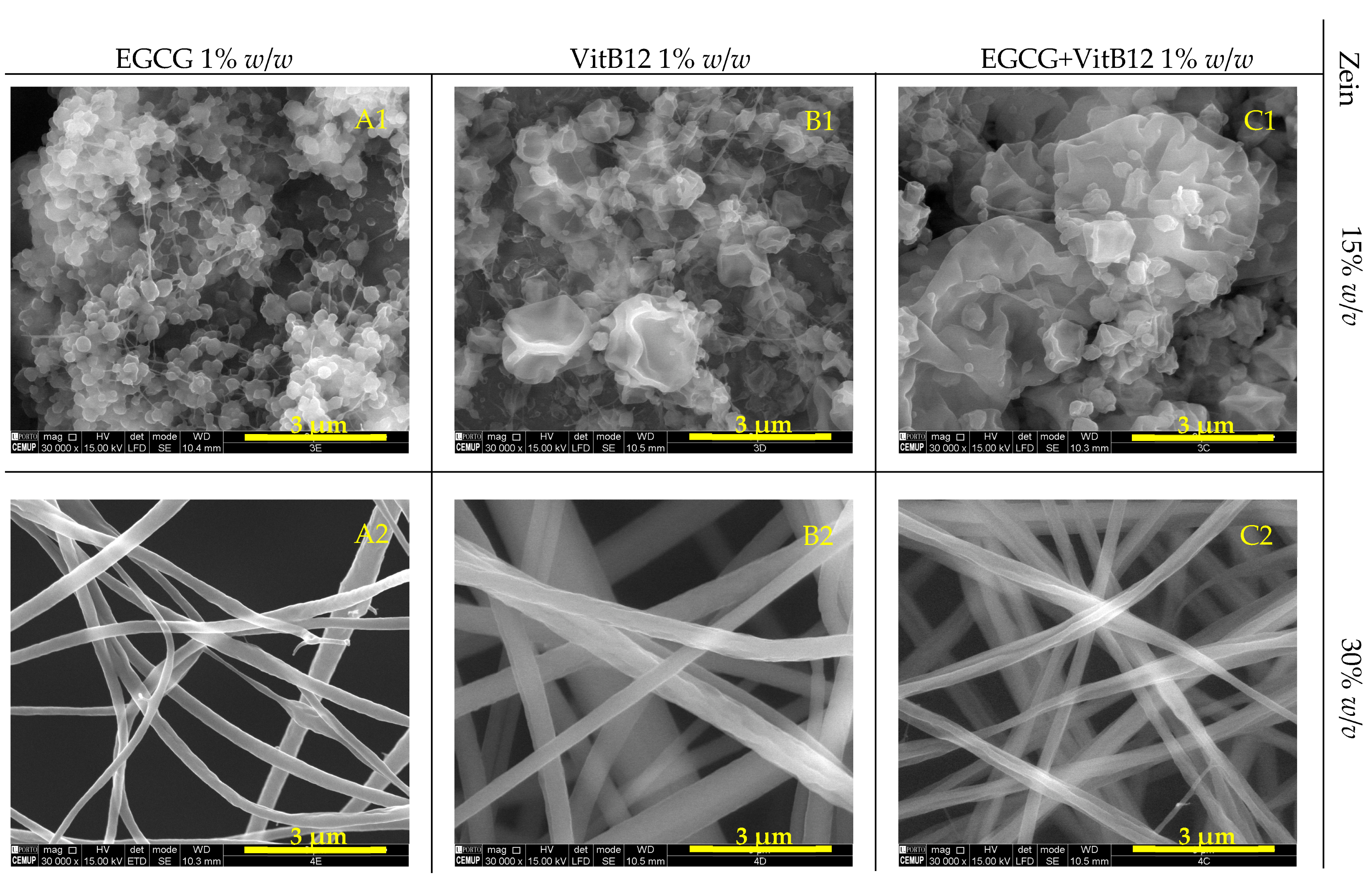 Molecules 28 02544 g002 Molecules 28 02544 g002