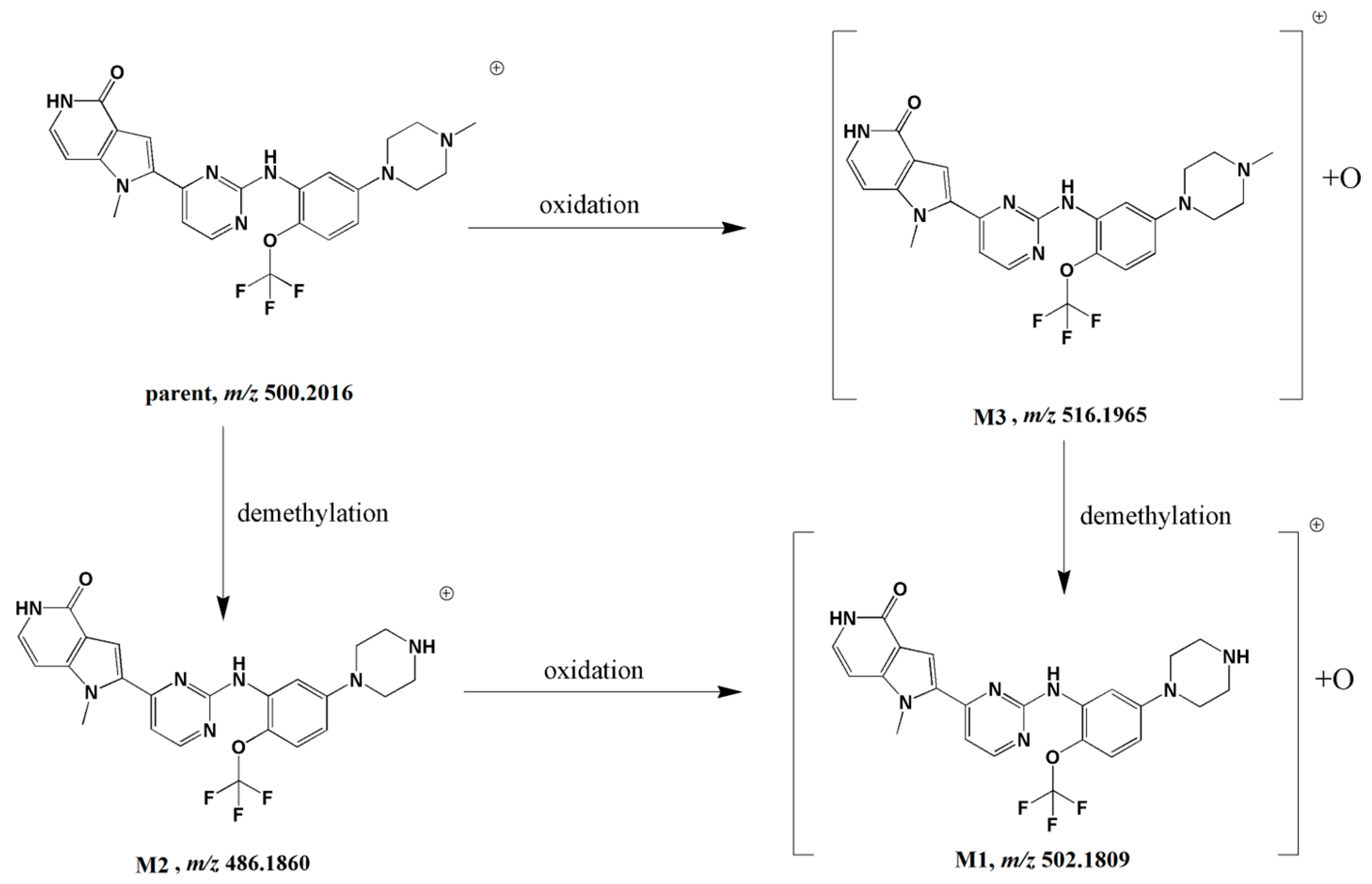 Molecules 28 02550 g007