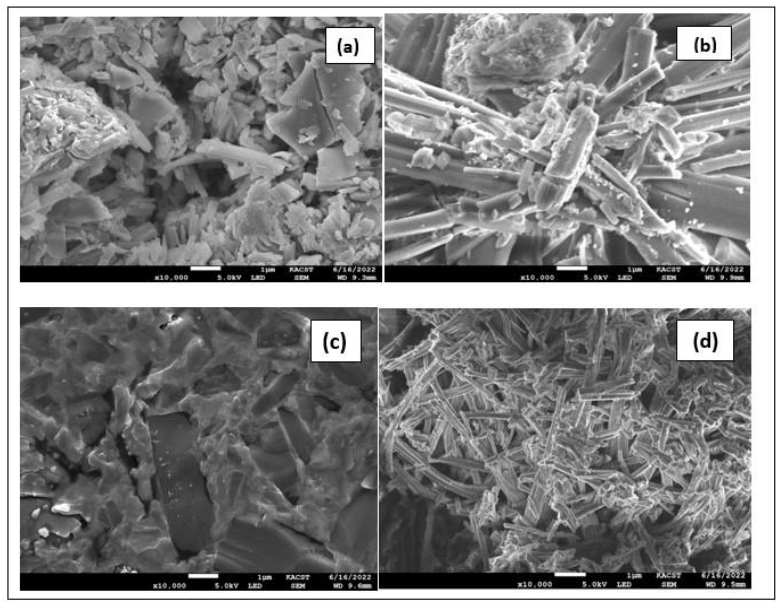 Molecules 28 02555 g008