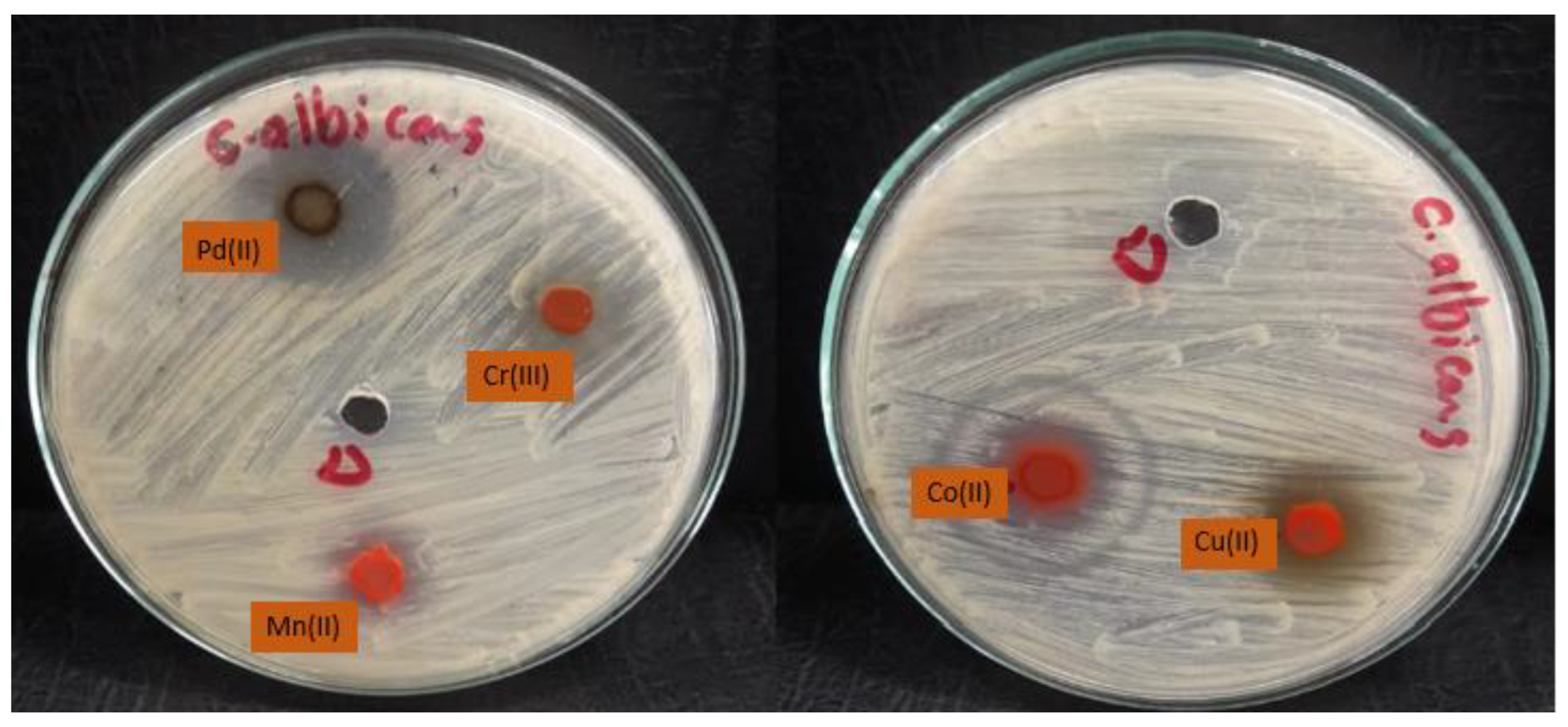 Molecules 28 02555 g013