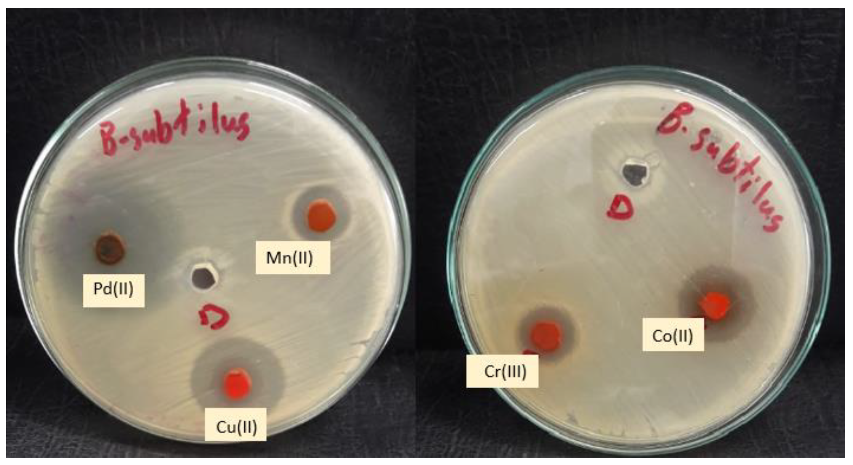 Molecules 28 02555 g015