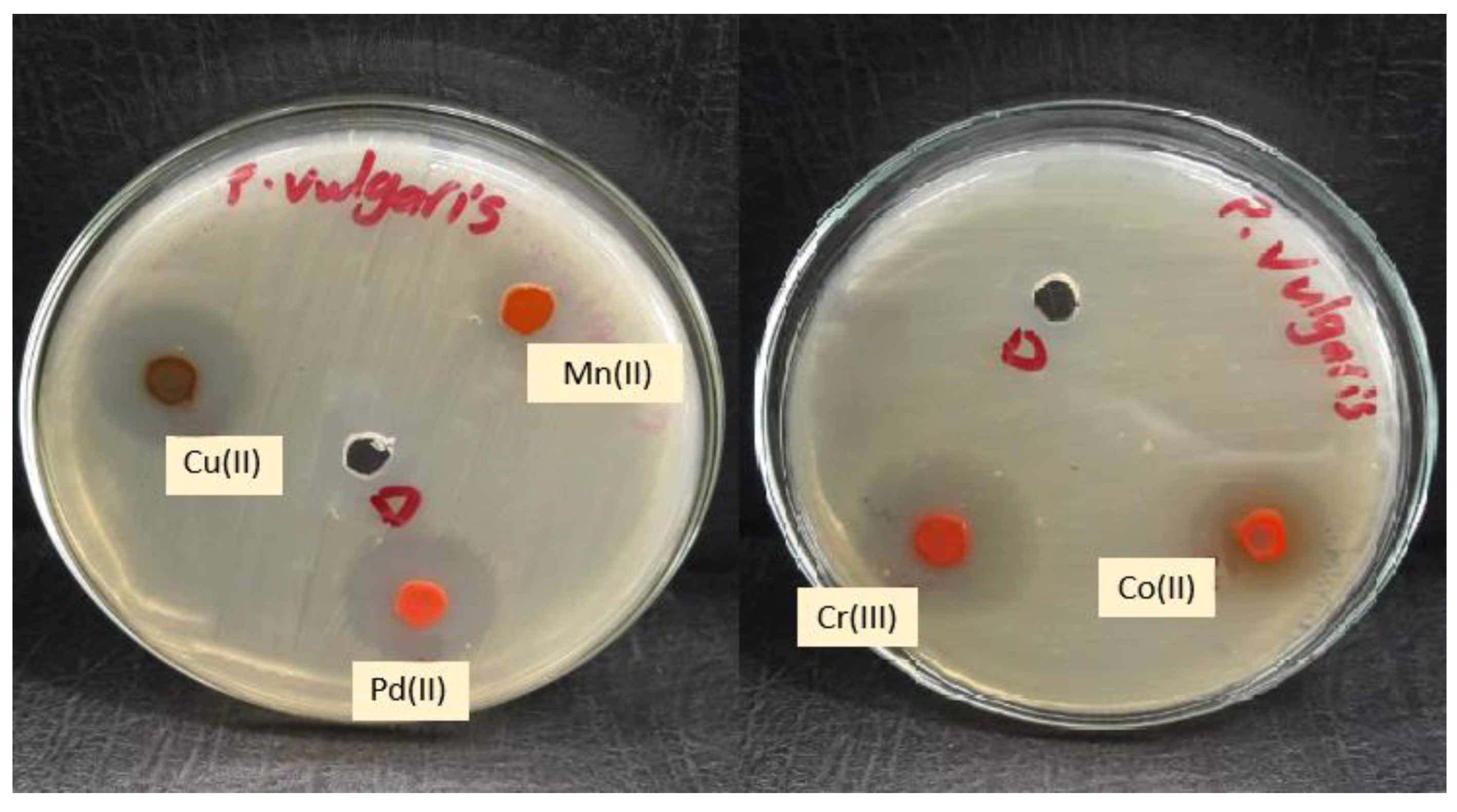 Molecules 28 02555 g016