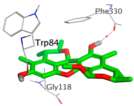 Molecules 28 02559 i002 Molecules 28 02559 i002