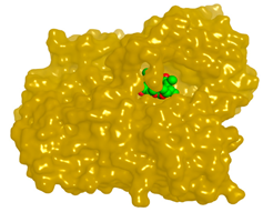 Molecules 28 02559 i006 Molecules 28 02559 i006