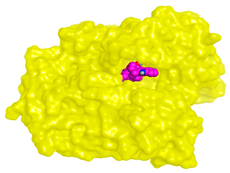 Molecules 28 02559 i009 Molecules 28 02559 i009