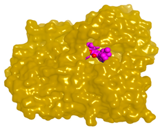 Molecules 28 02559 i012 Molecules 28 02559 i012