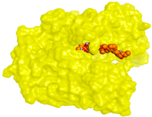 Molecules 28 02559 i015 Molecules 28 02559 i015