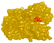 Molecules 28 02559 i018 Molecules 28 02559 i018