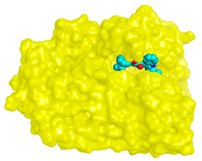 Molecules 28 02559 i021 Molecules 28 02559 i021