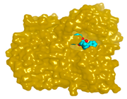 Molecules 28 02559 i024 Molecules 28 02559 i024