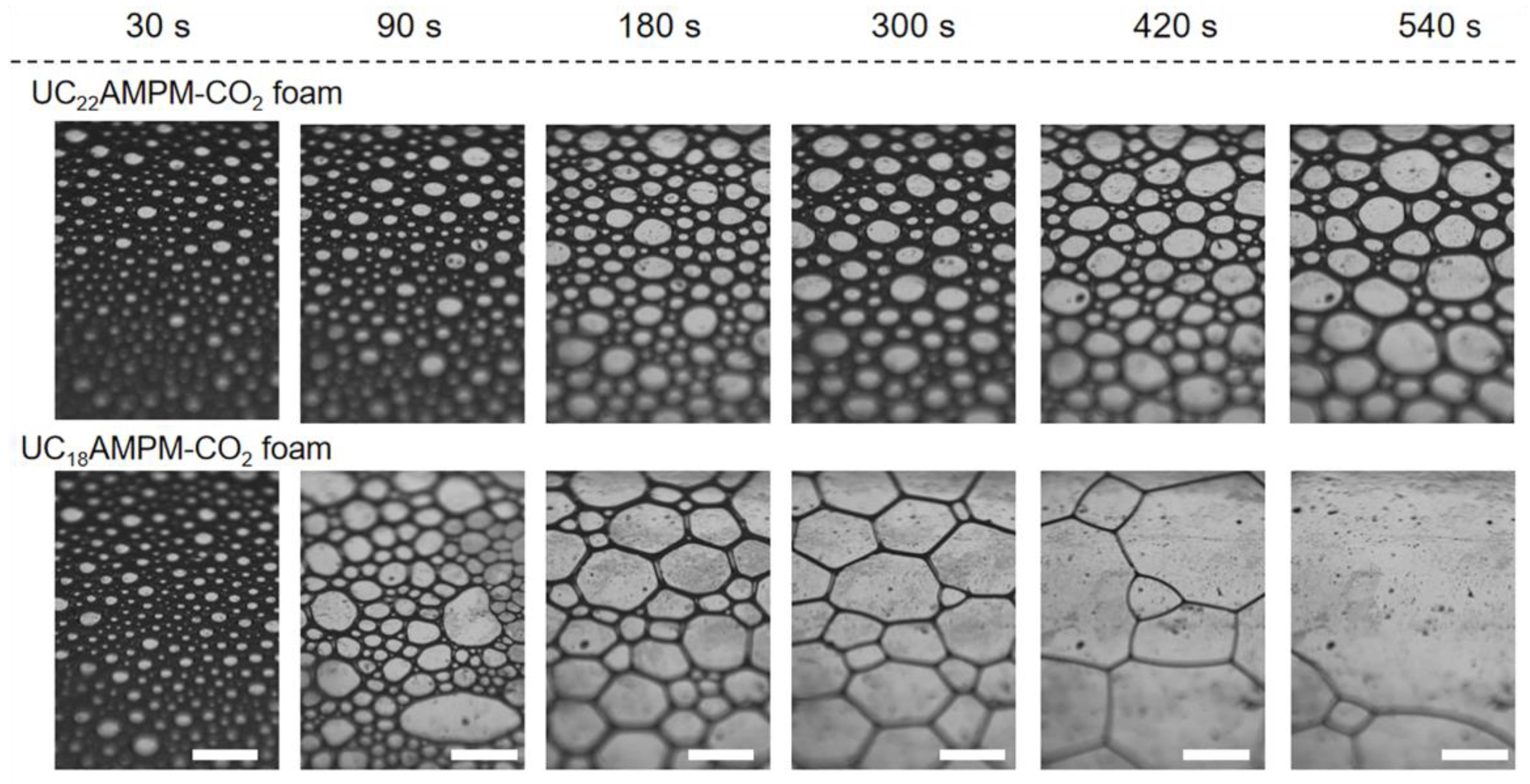 Molecules 28 02567 g002