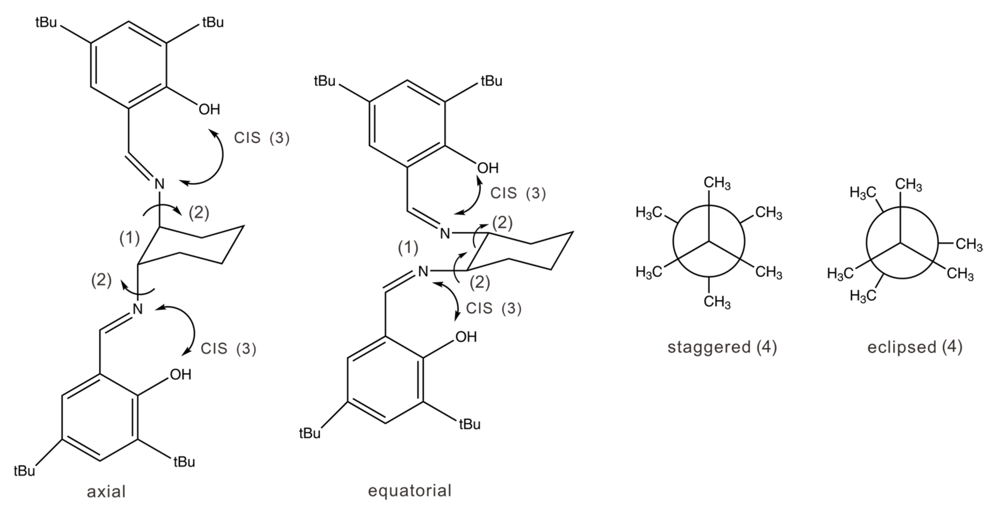 Molecules 28 02571 g001