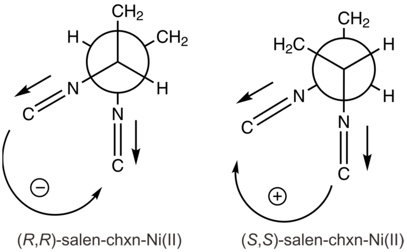 Molecules 28 02571 g011