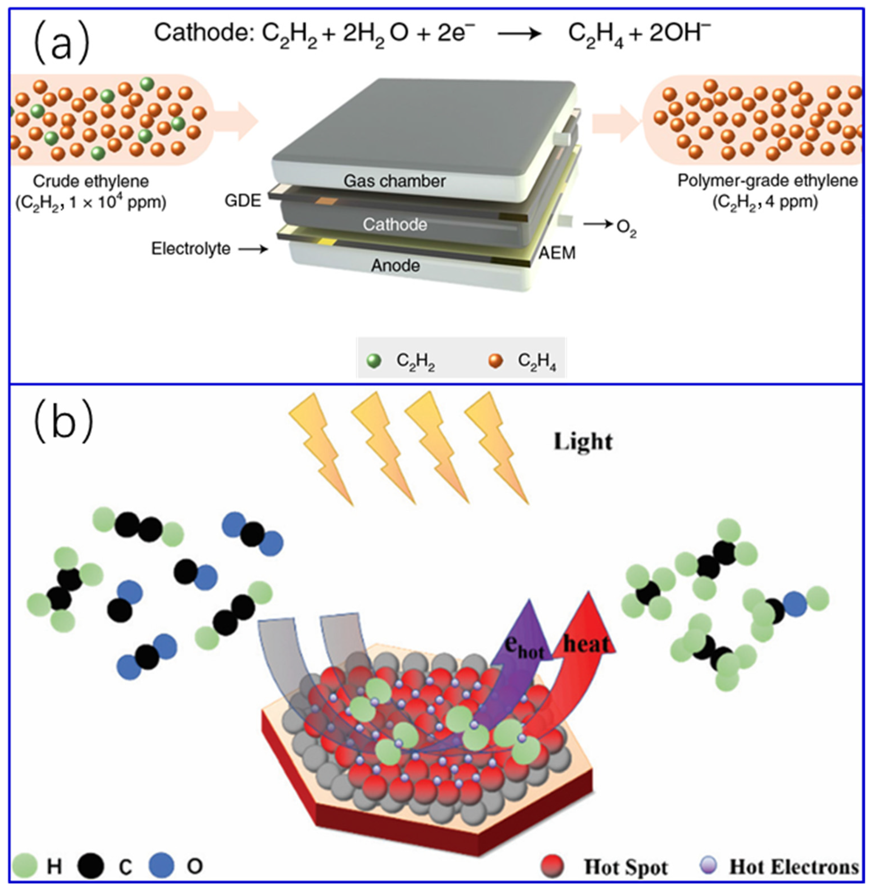 Molecules 28 02572 g001