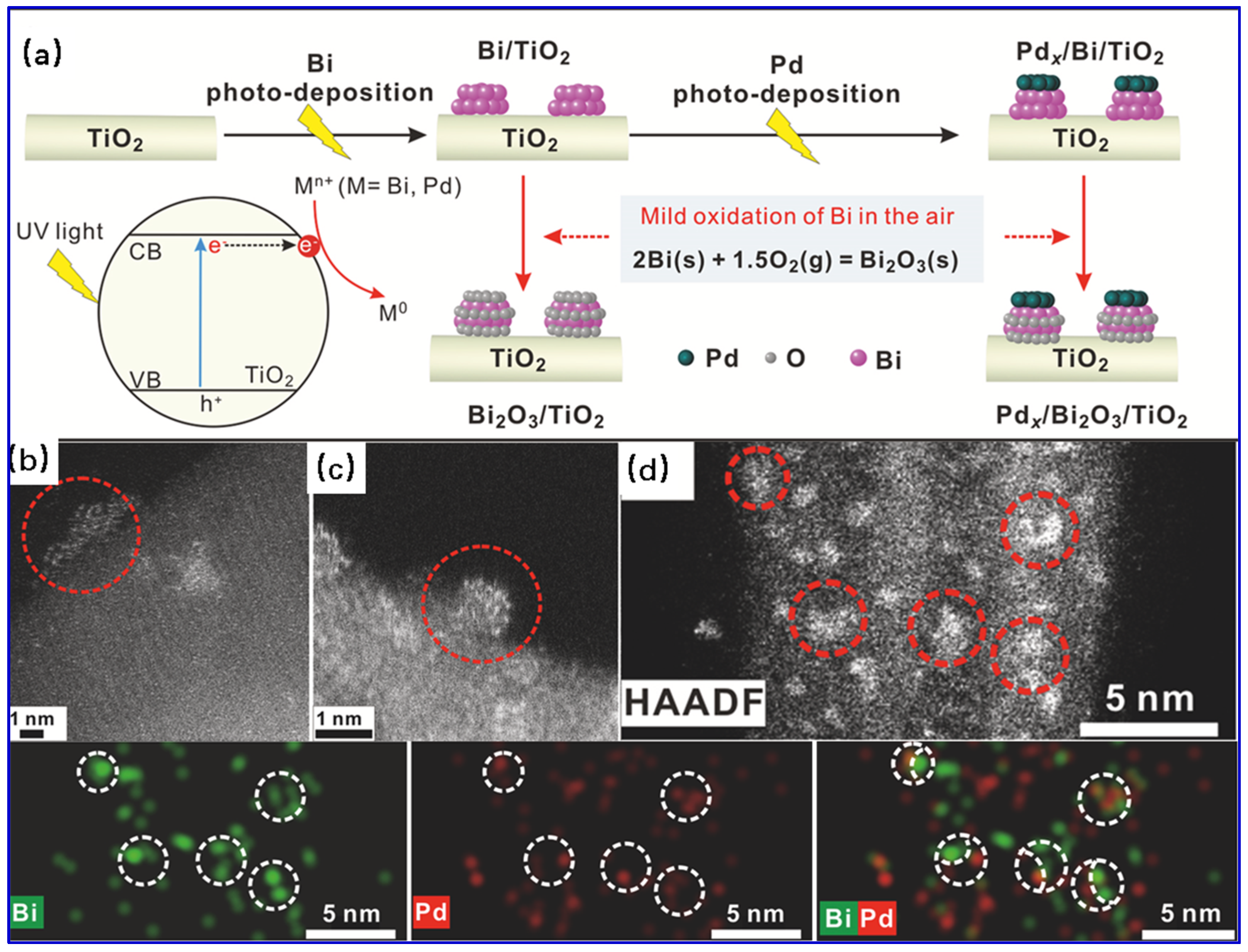 Molecules 28 02572 g010