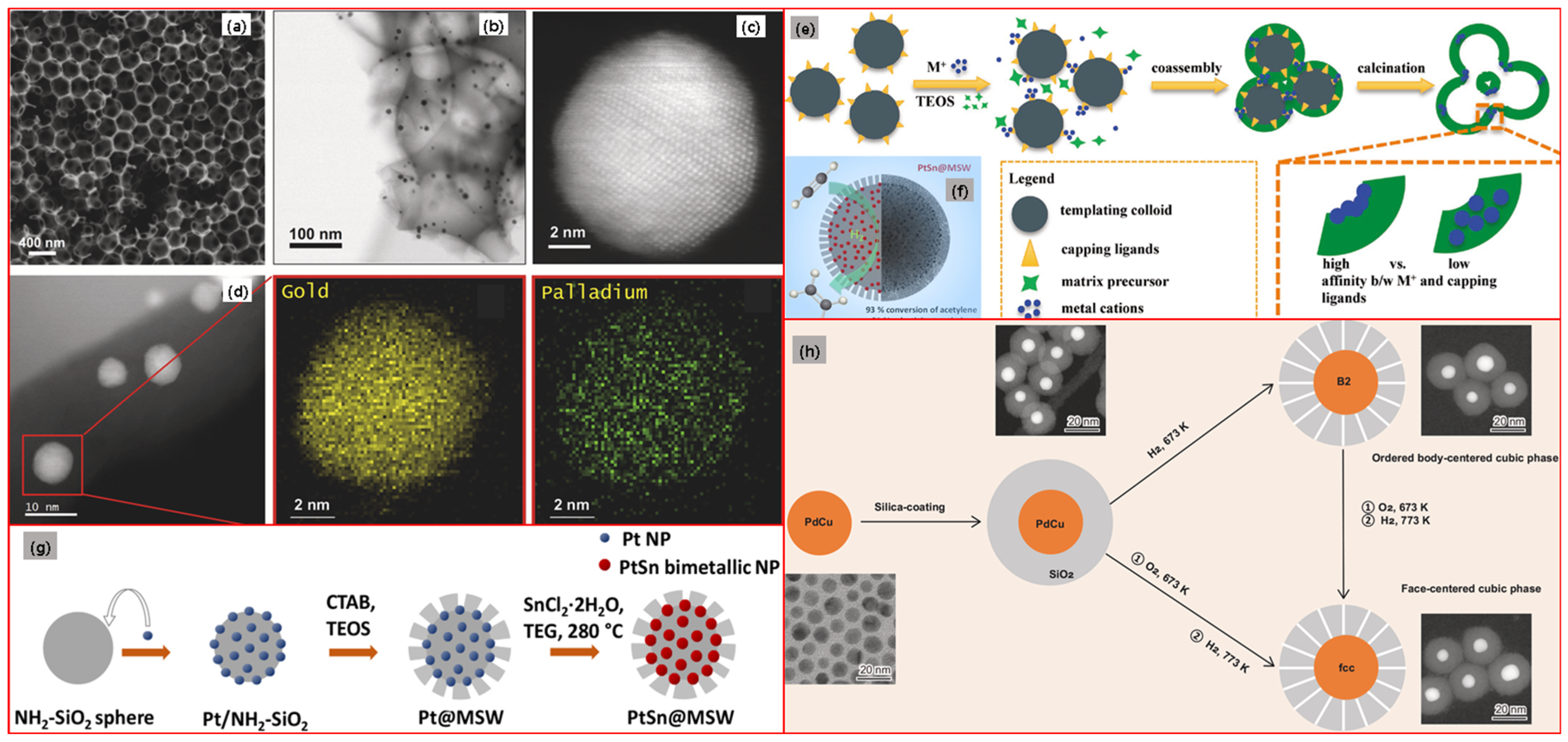 Molecules 28 02572 g011