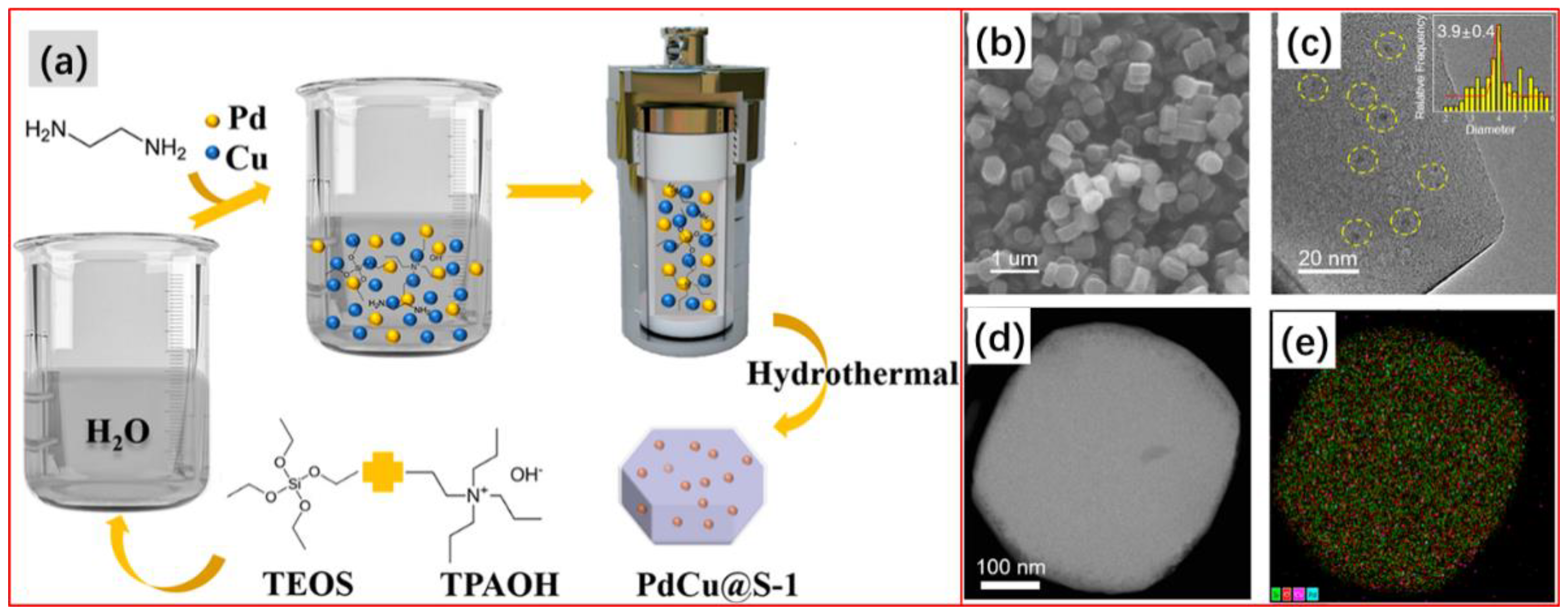 Molecules 28 02572 g012