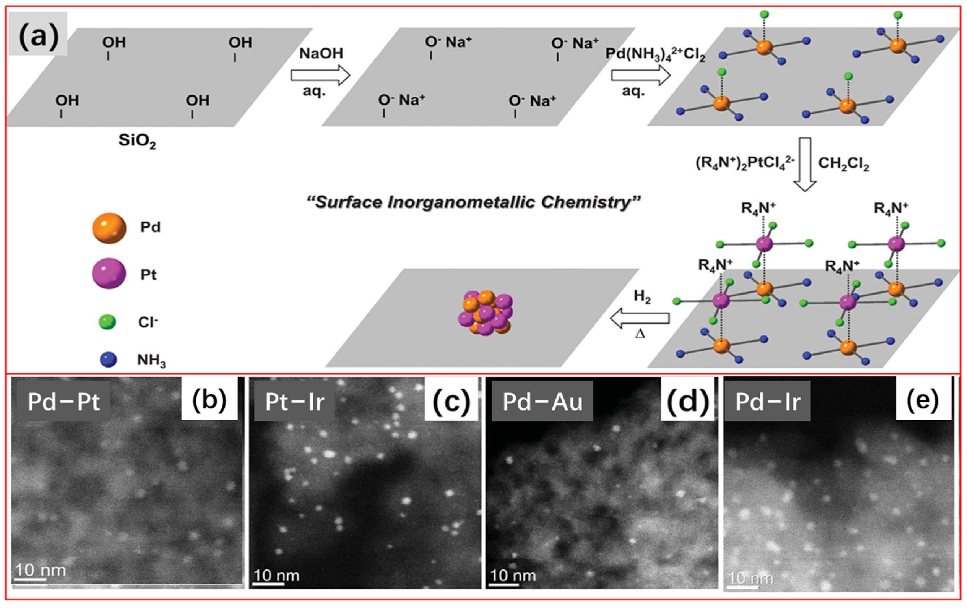 Molecules 28 02572 g013