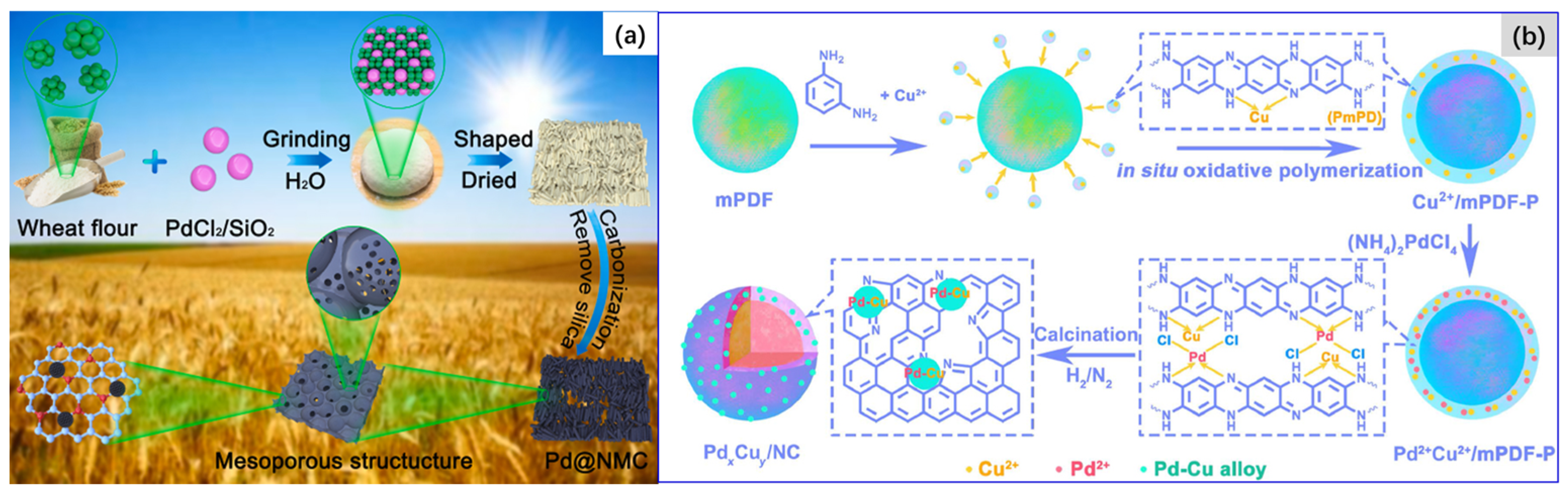 Molecules 28 02572 g016