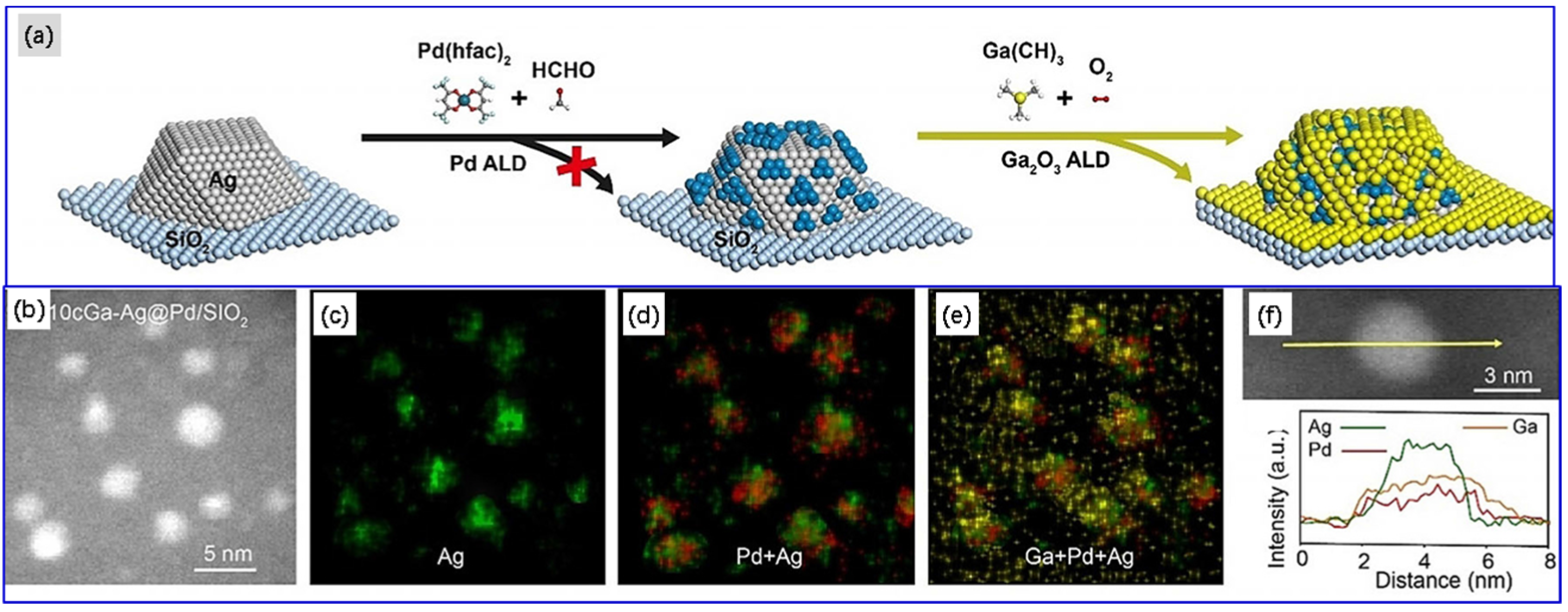 Molecules 28 02572 g017